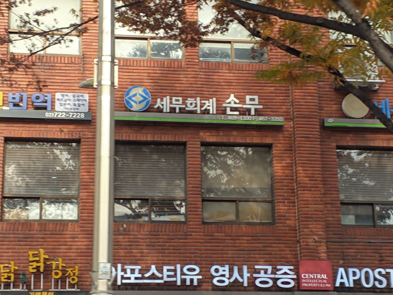 세무회계컨설팅손무