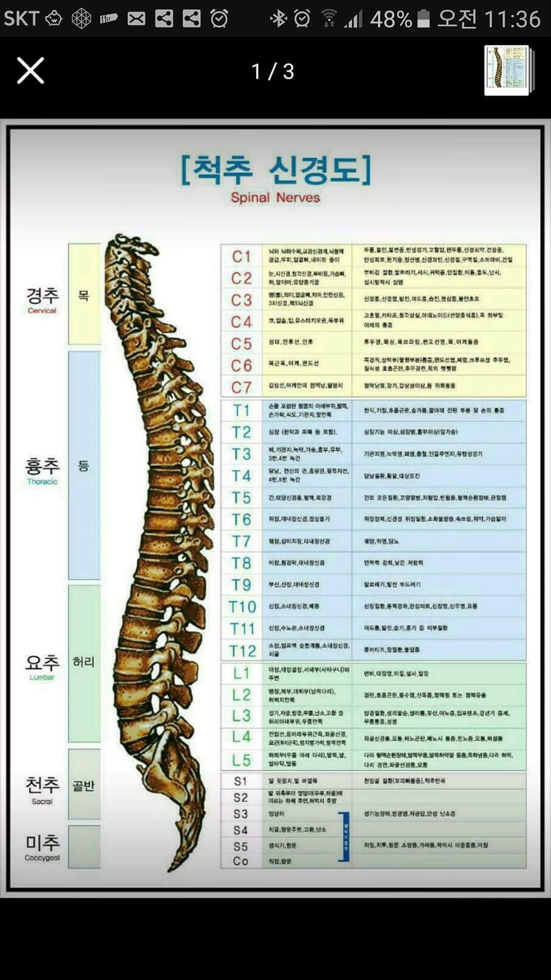 곽지연 맞춤형체형관리 photo 9