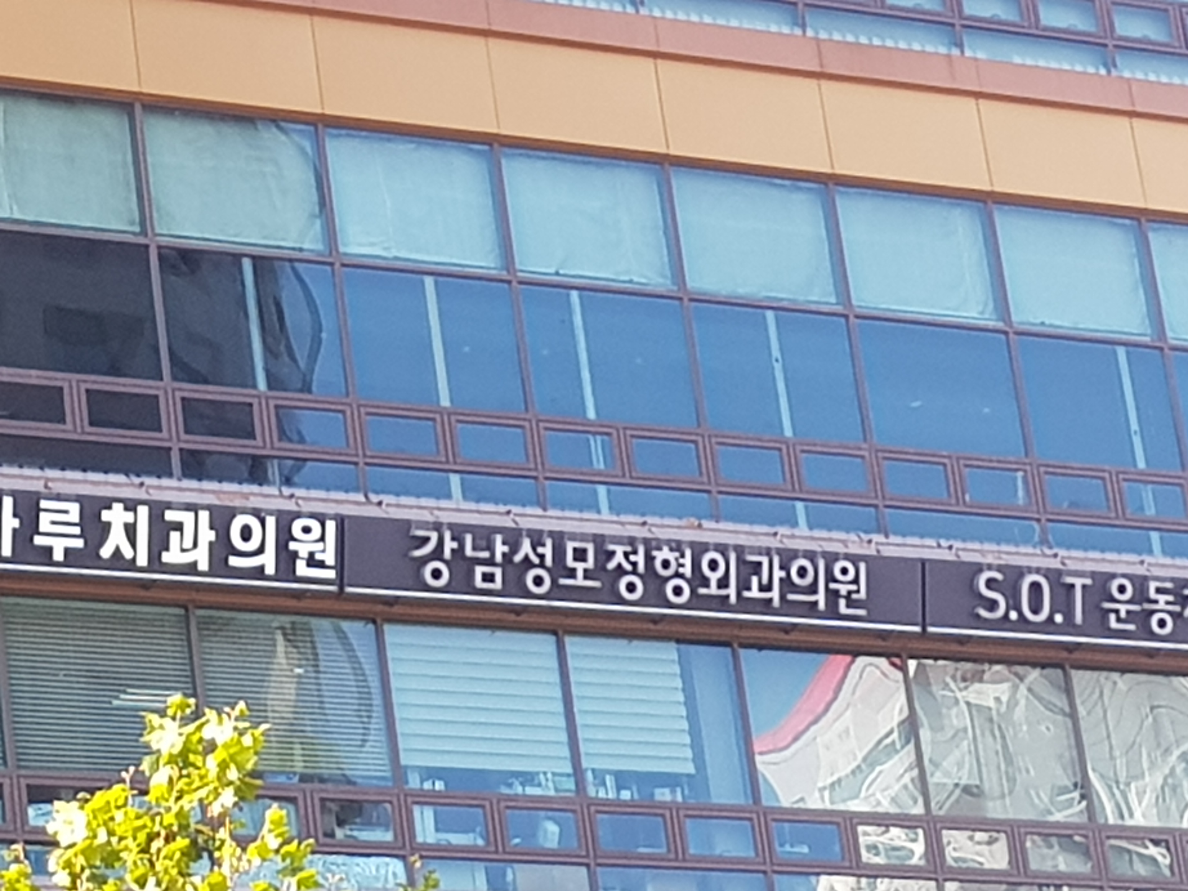 강남성모정형외과의원