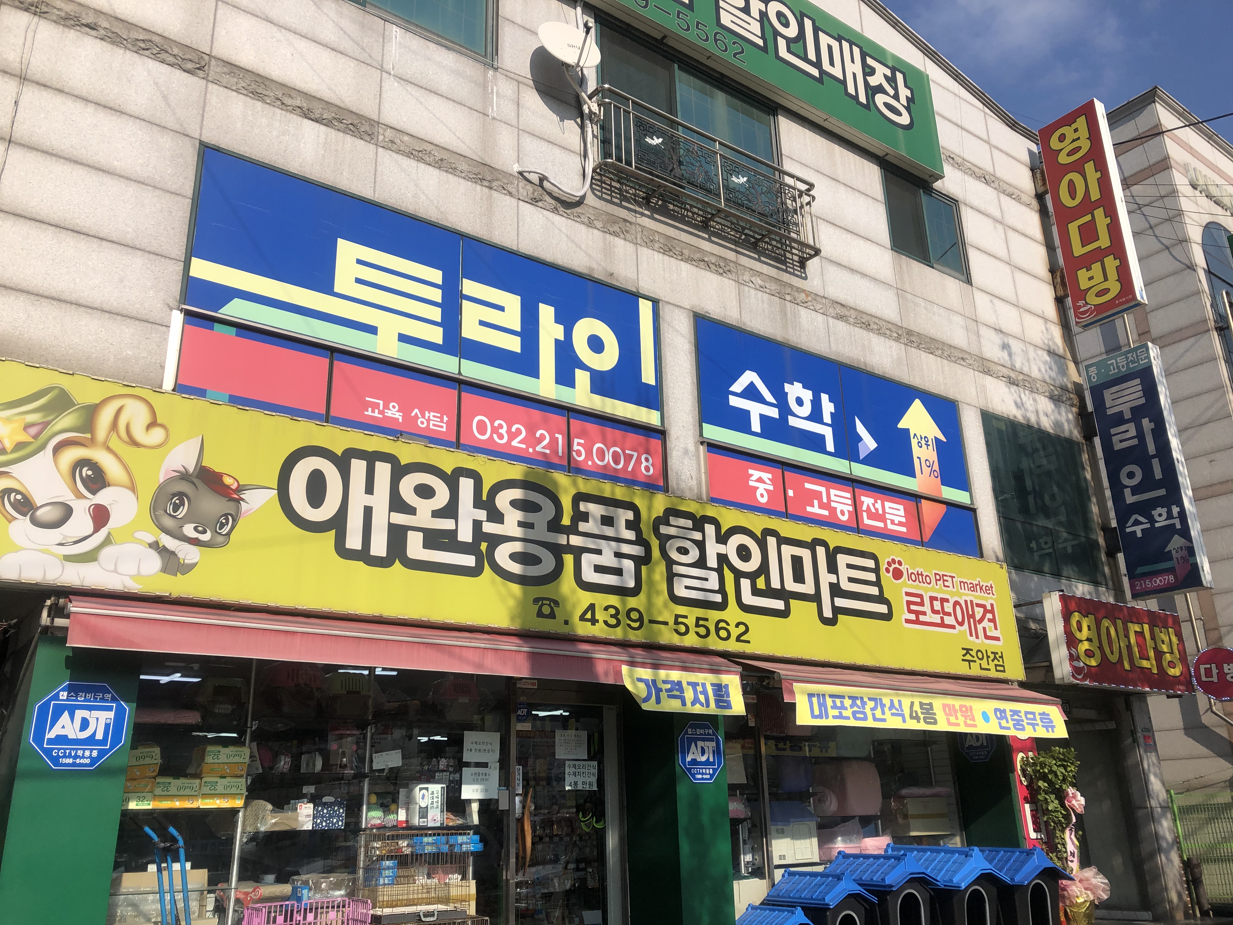 투라인수학 대표 이미지