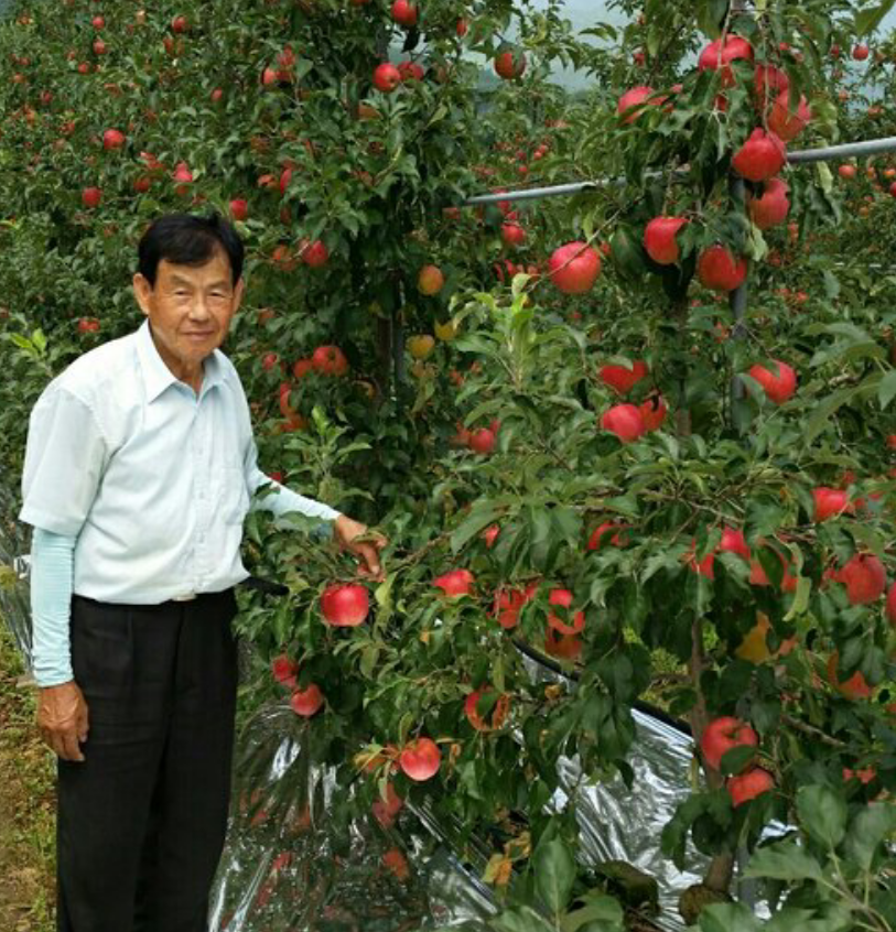 장수사과농장