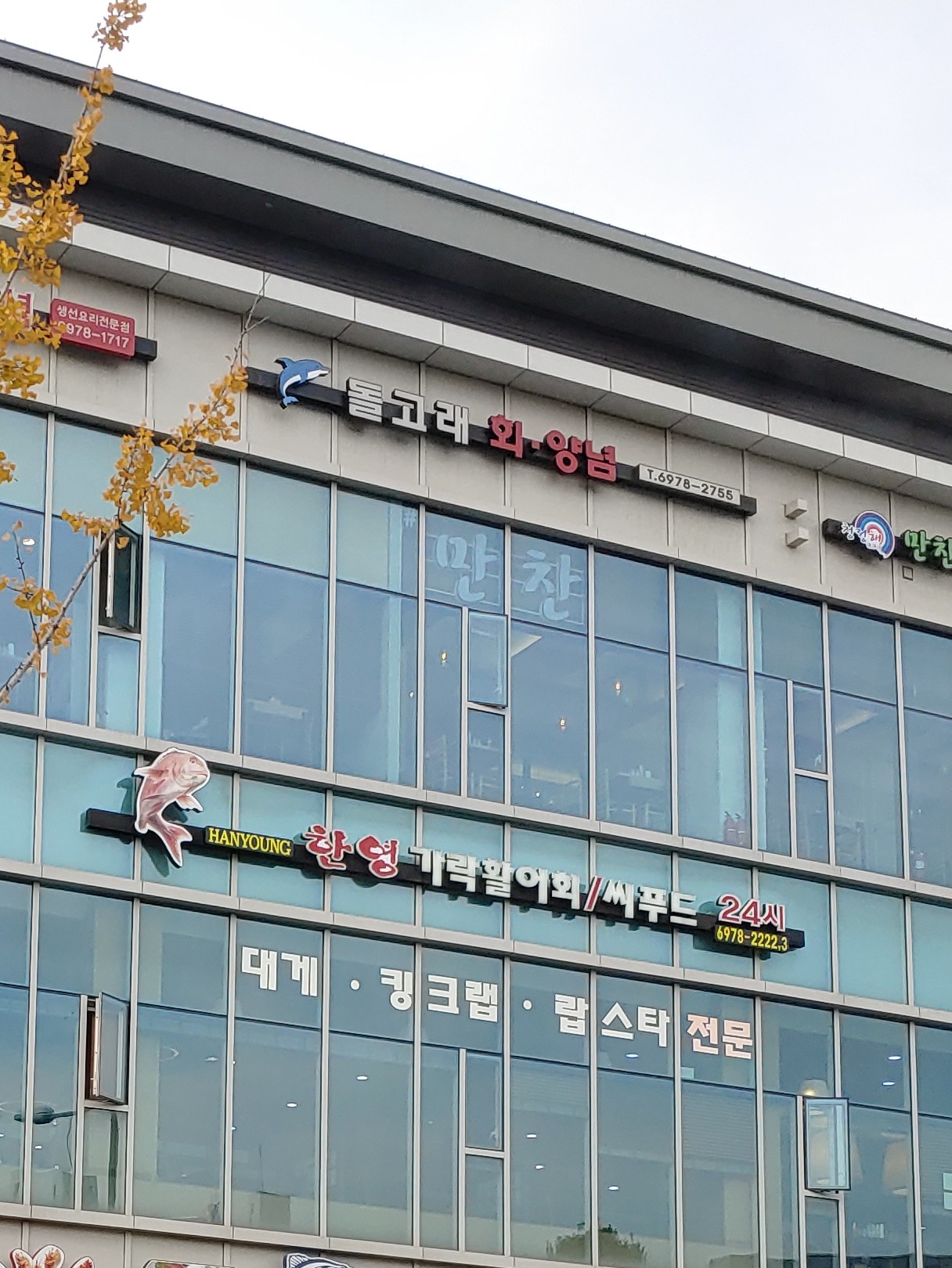 돌고래회양념식당