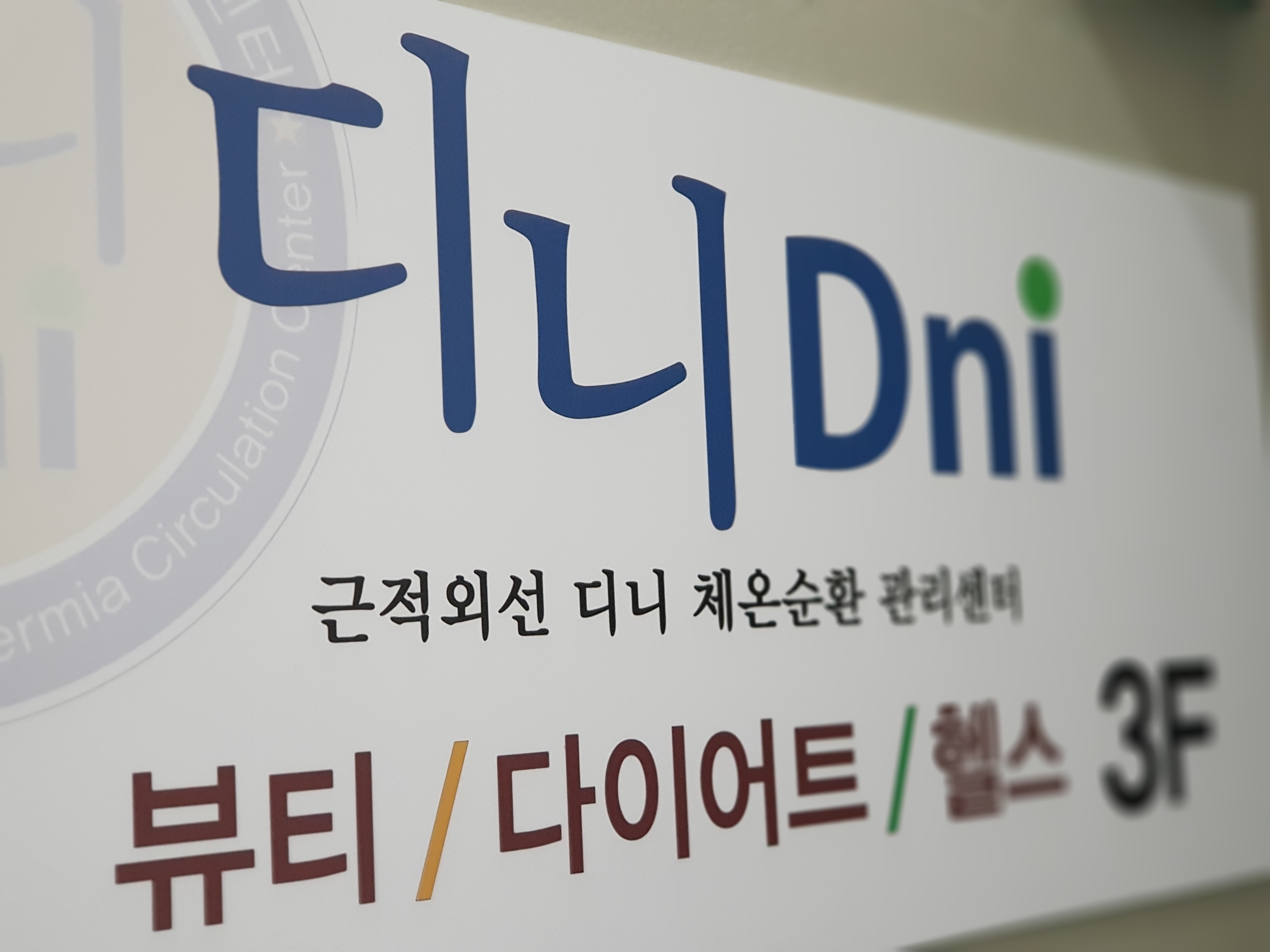 디니힐링시스템