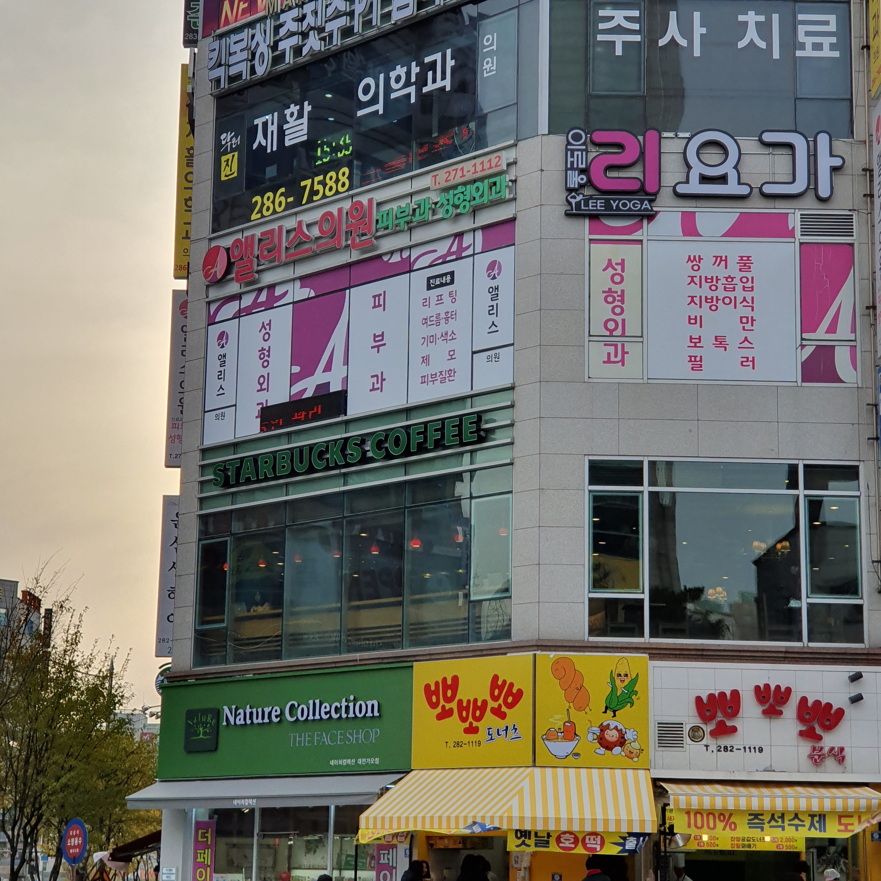 앨리스의원 대전 대표 이미지