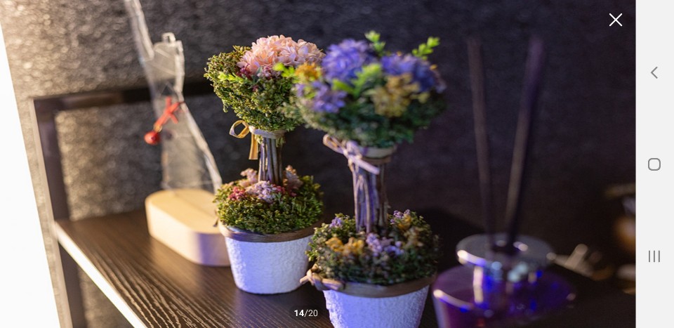 로아타이마사지 photo 10