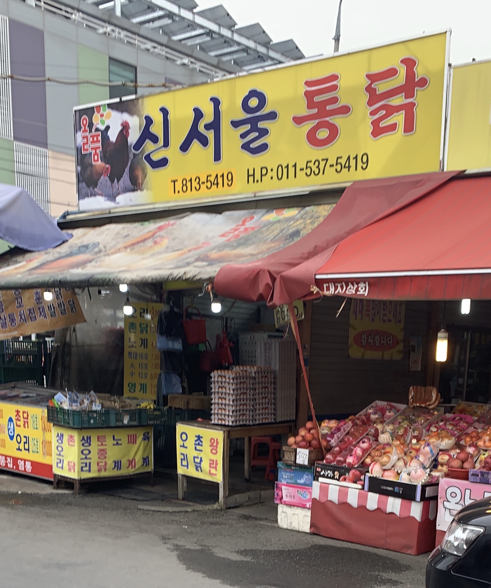 신서울통닭