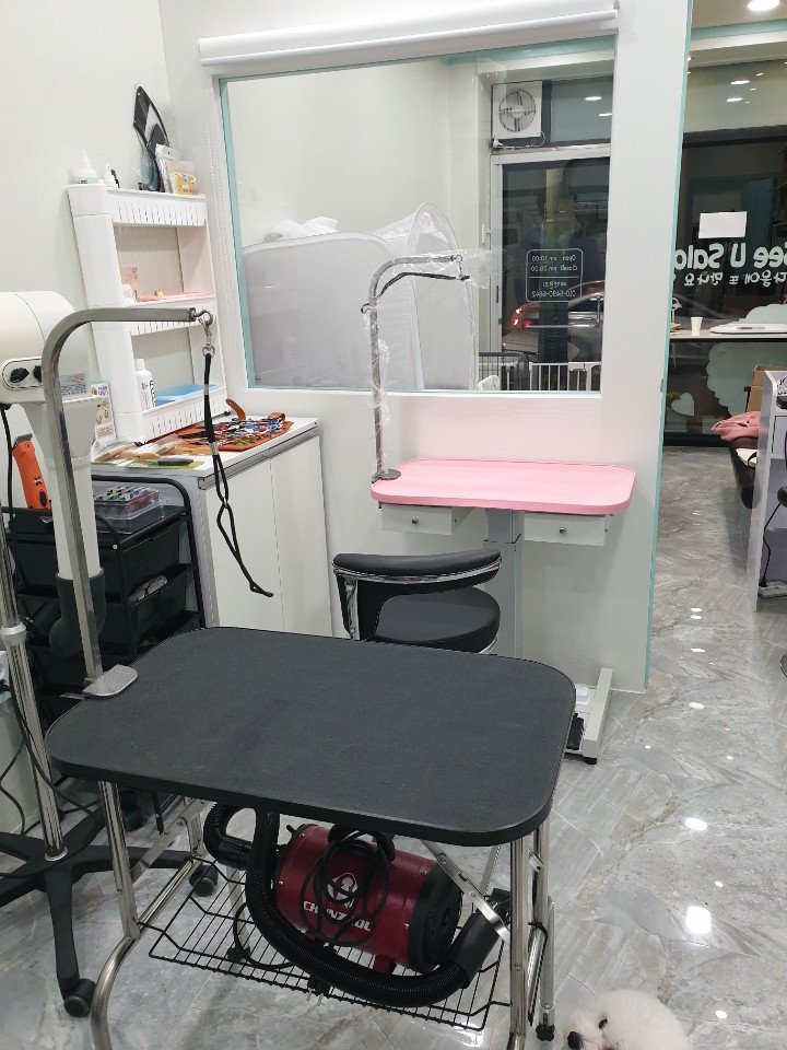 까망콩 대표 이미지