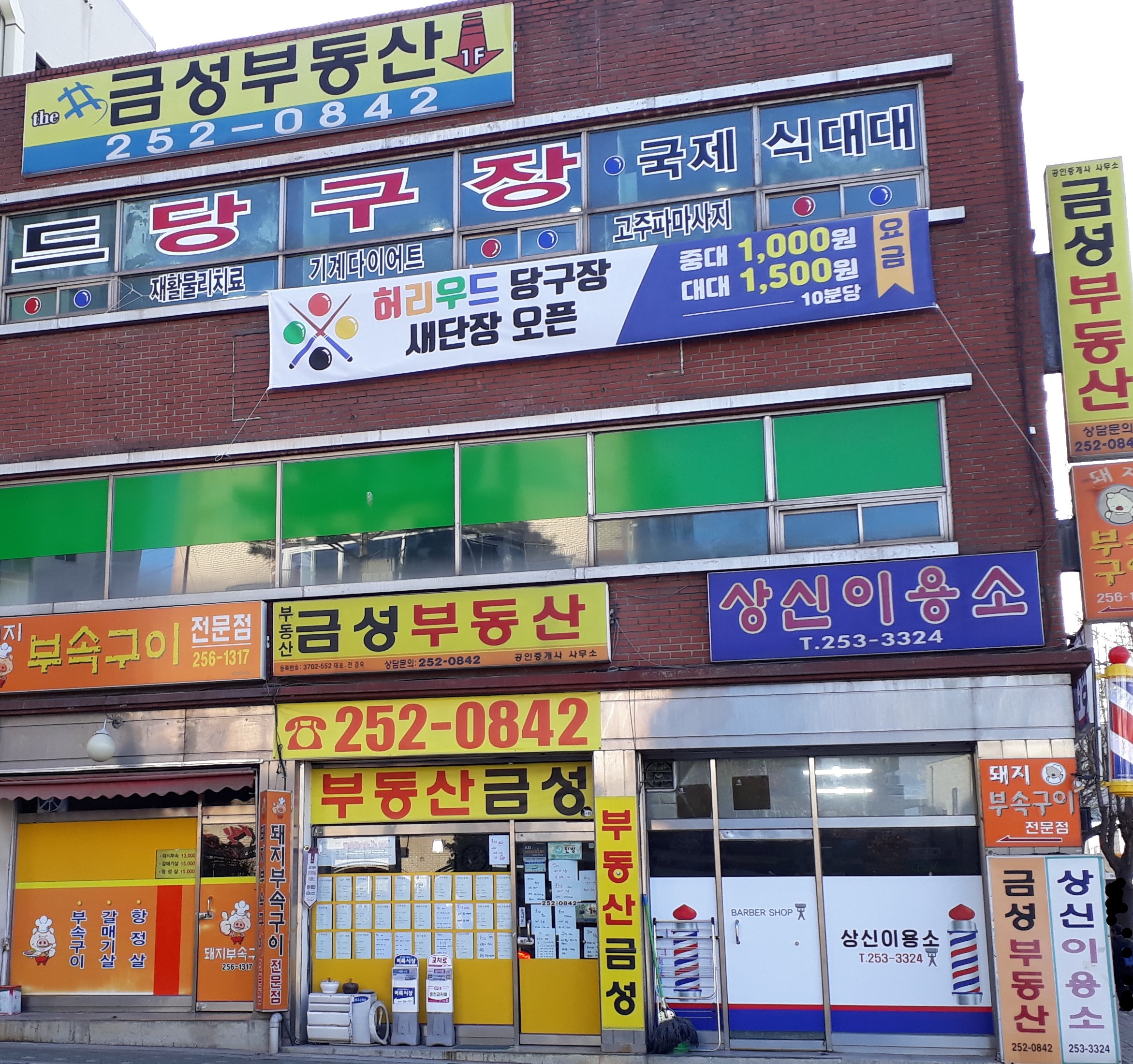 금성부동산