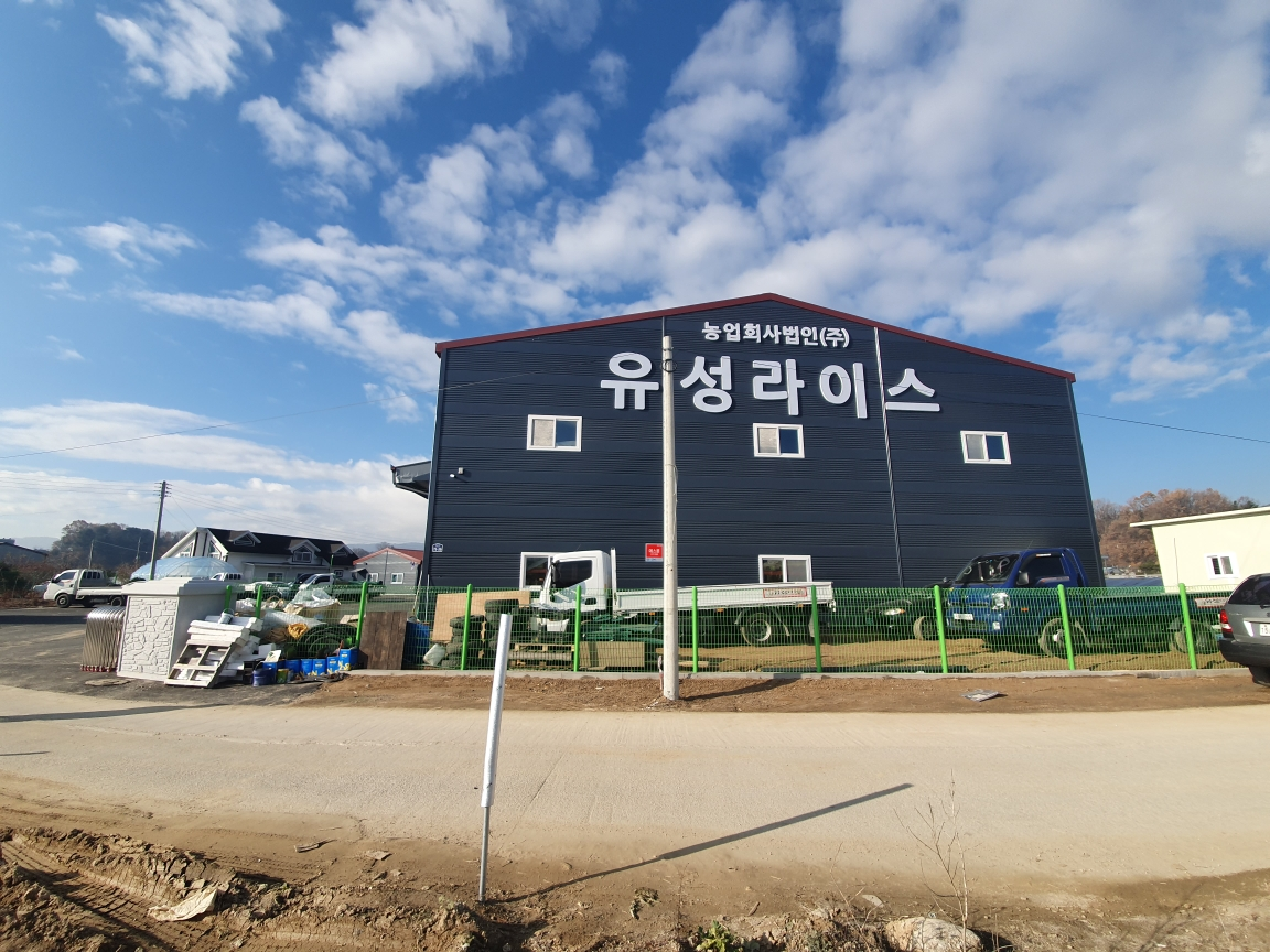 유성라이스
