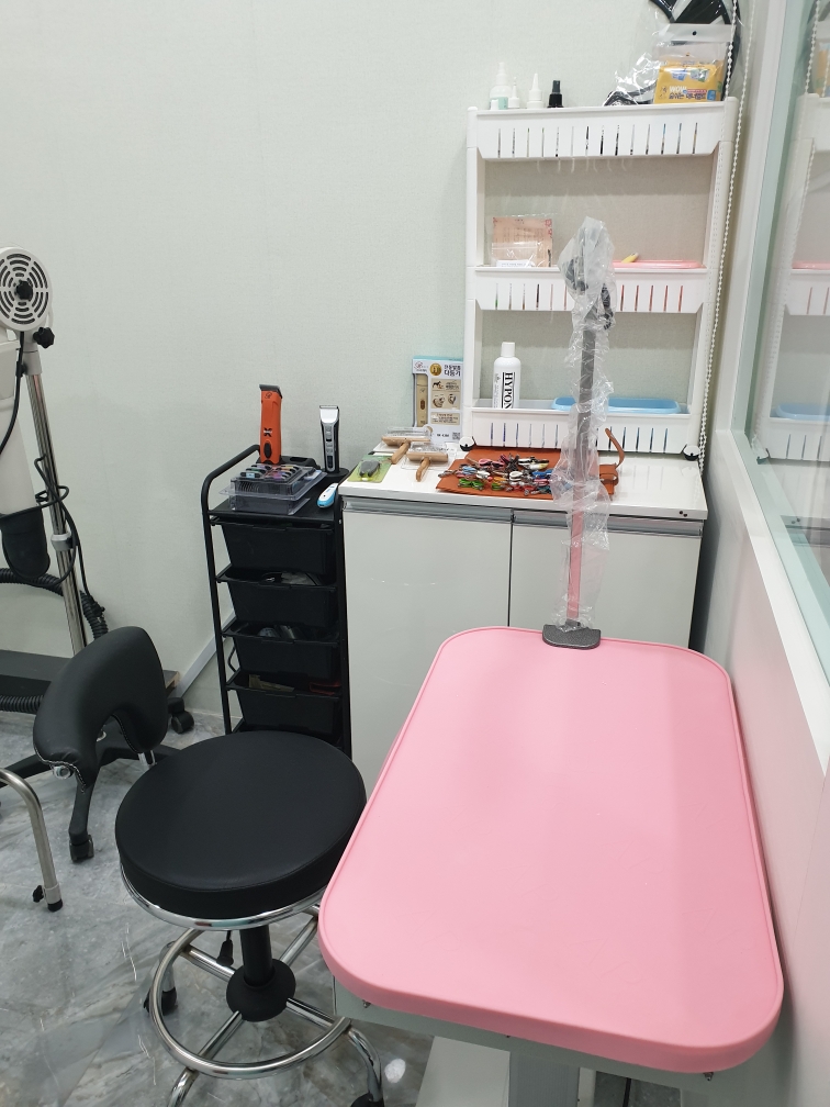 까망콩 대표 이미지