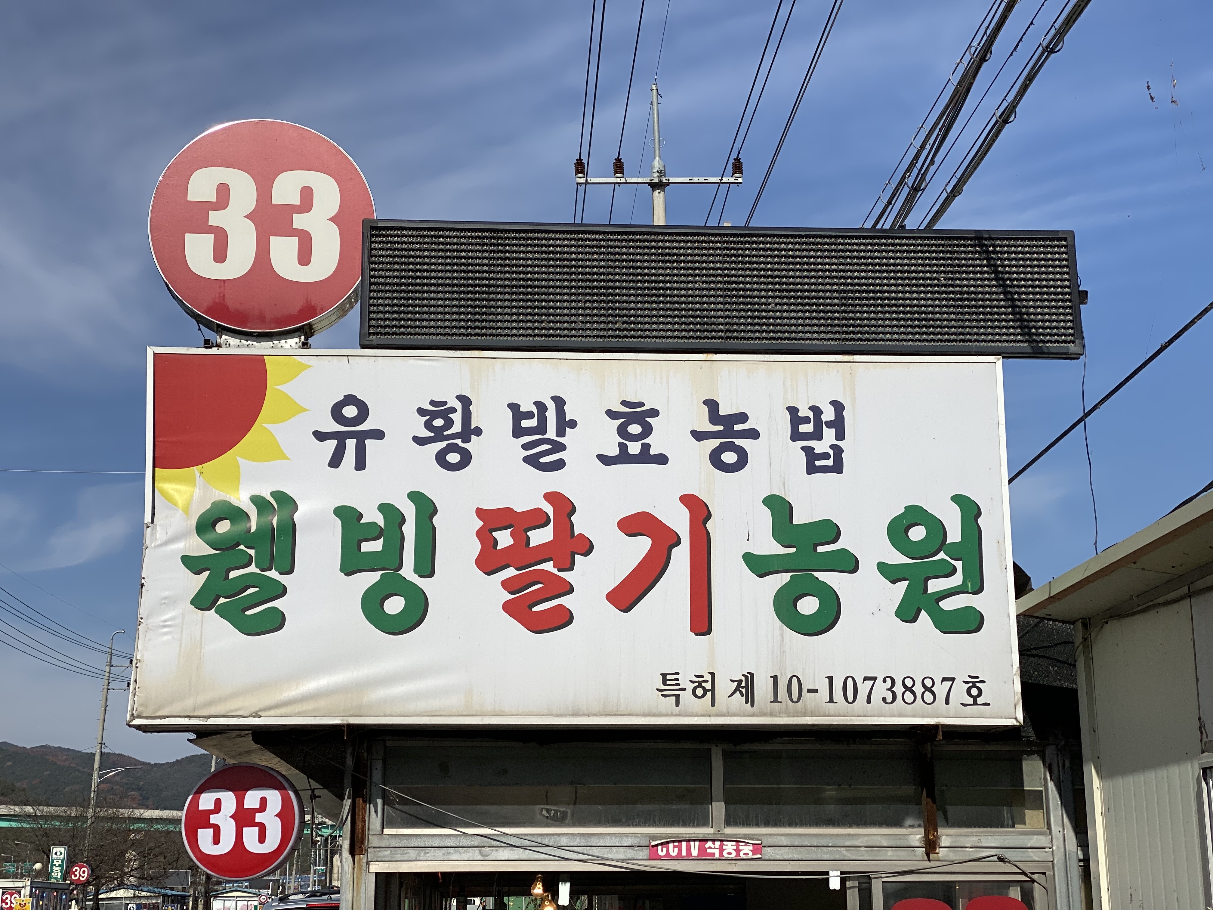 웰빙딸기농원