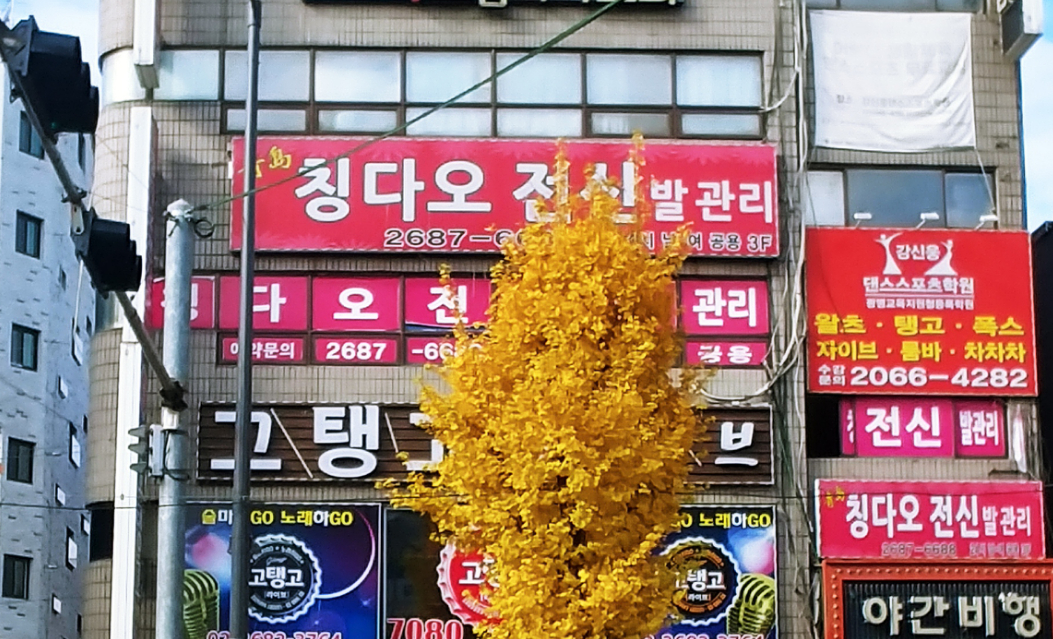 칭다오마사지
