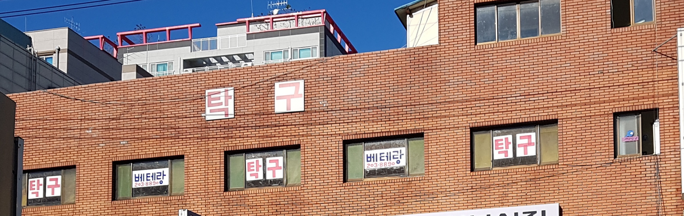 베테랑탁구