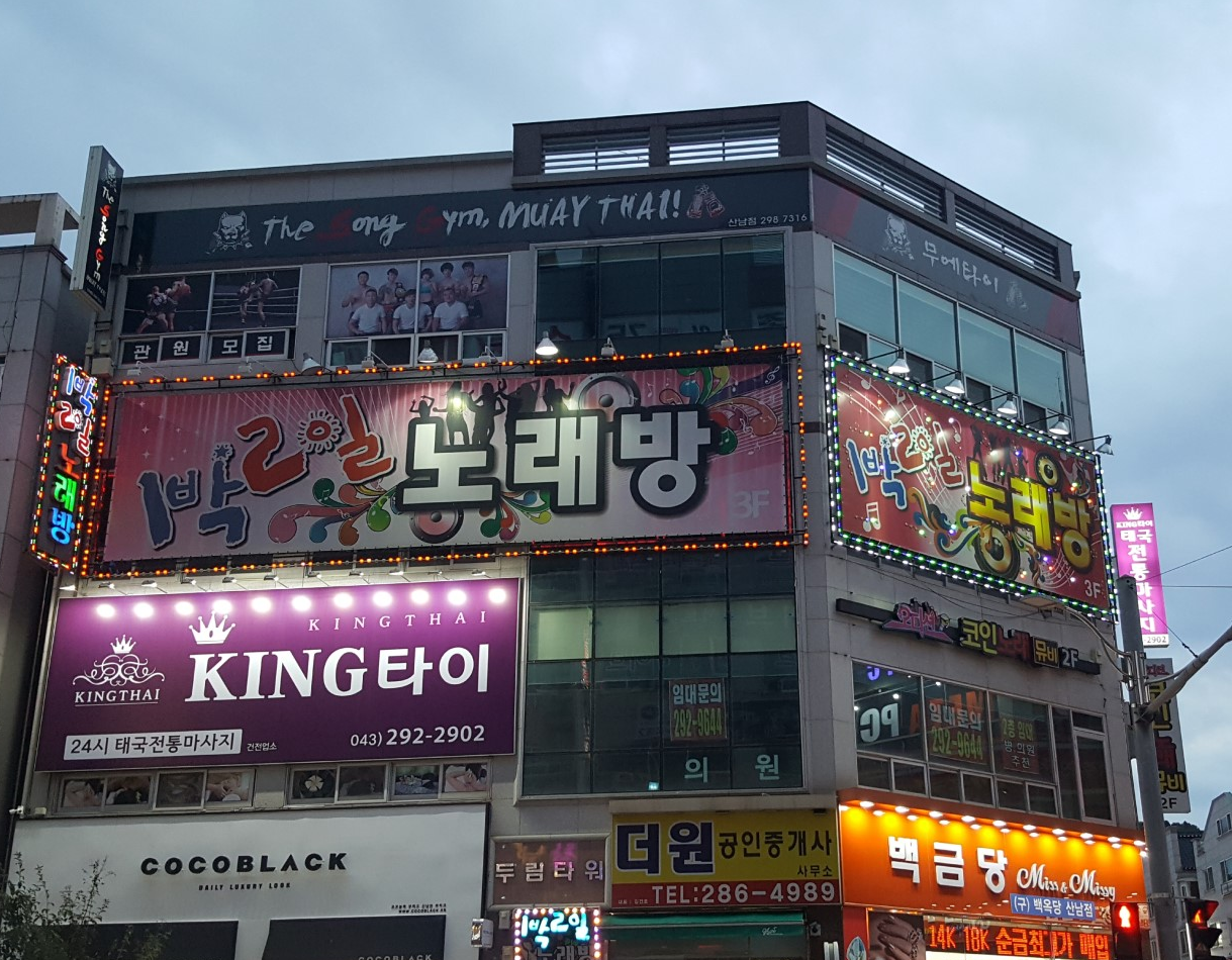 킹타이