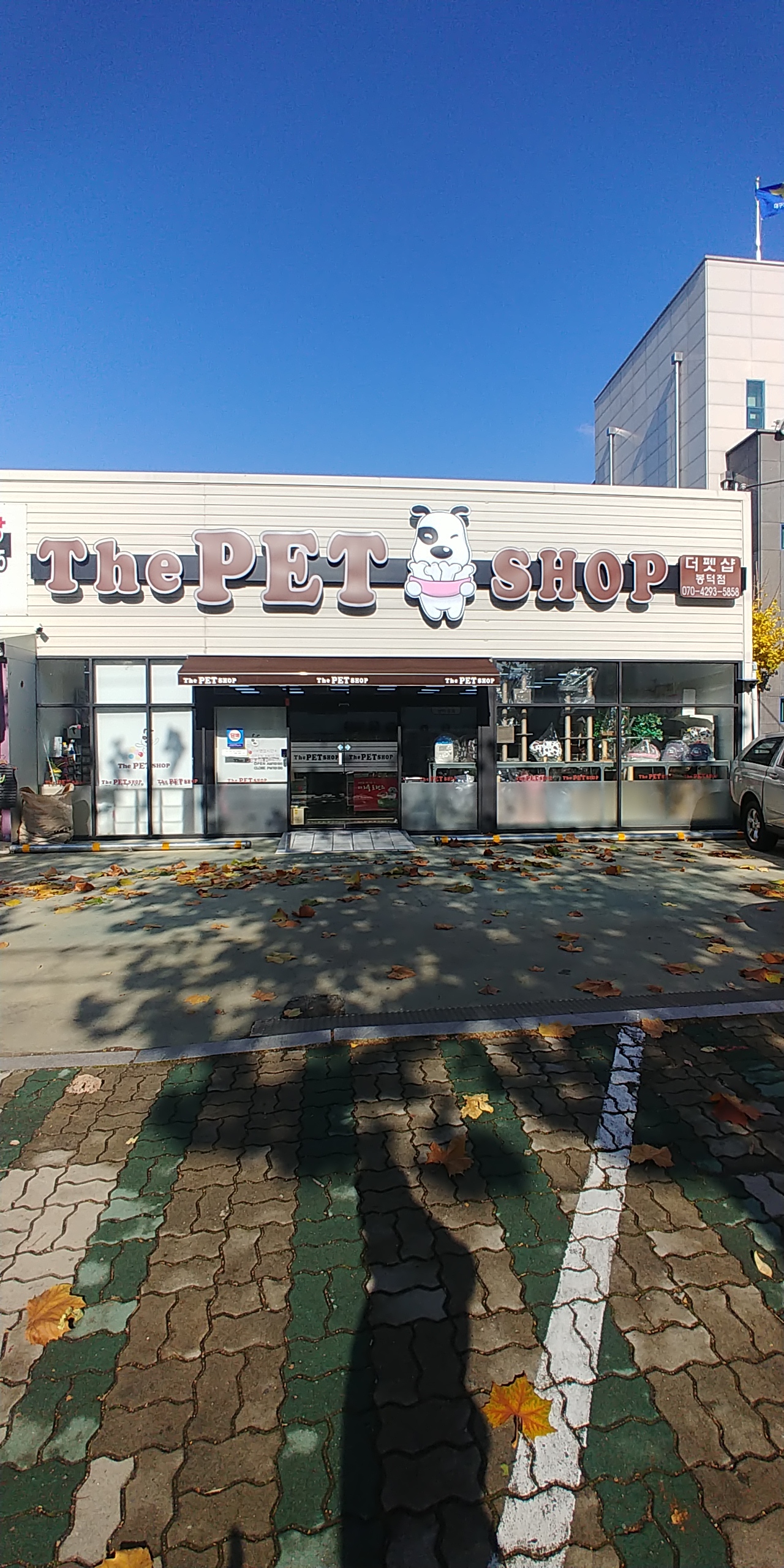 더펫샵 봉덕점 대표 이미지