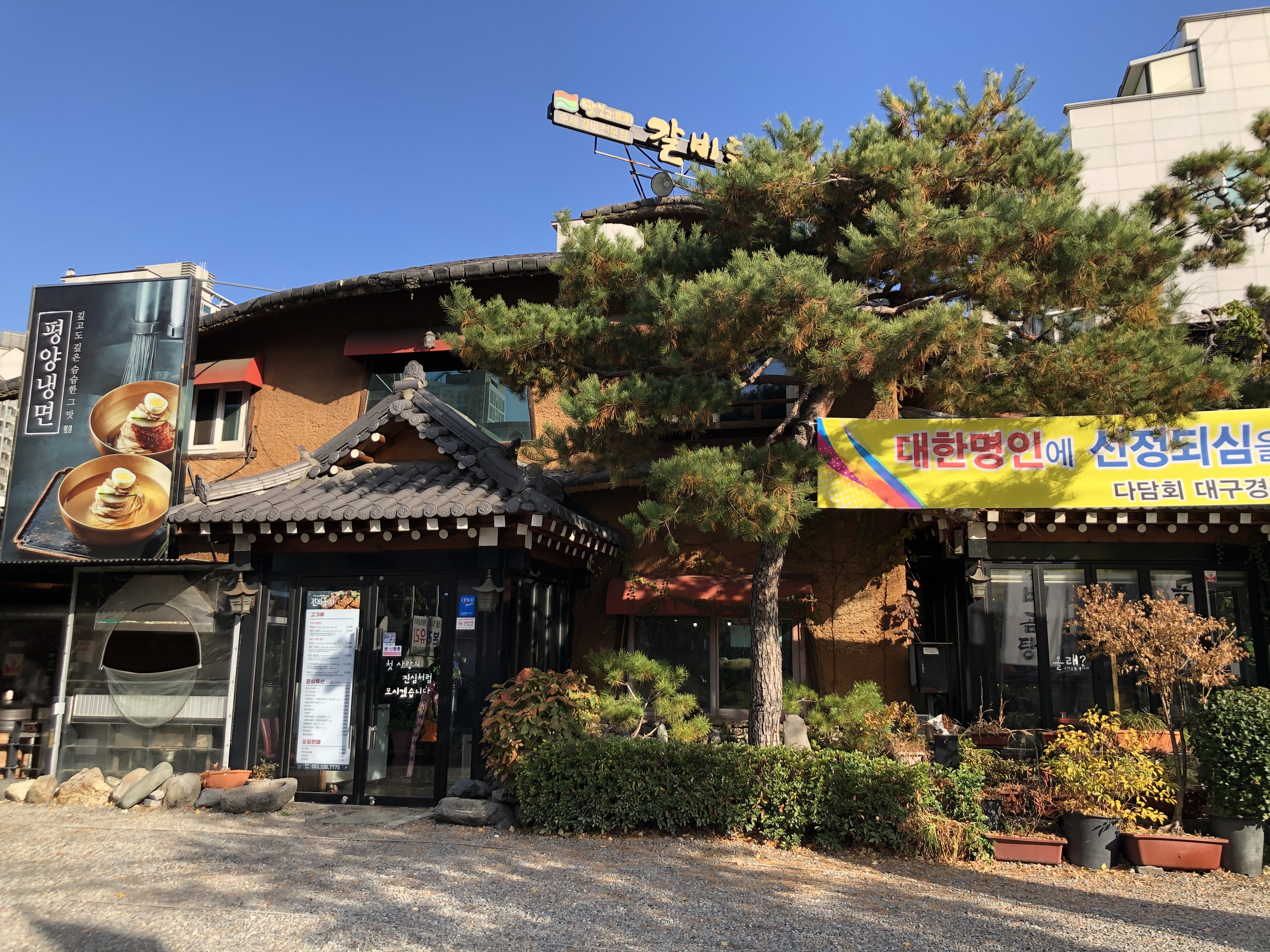 갈비둥지