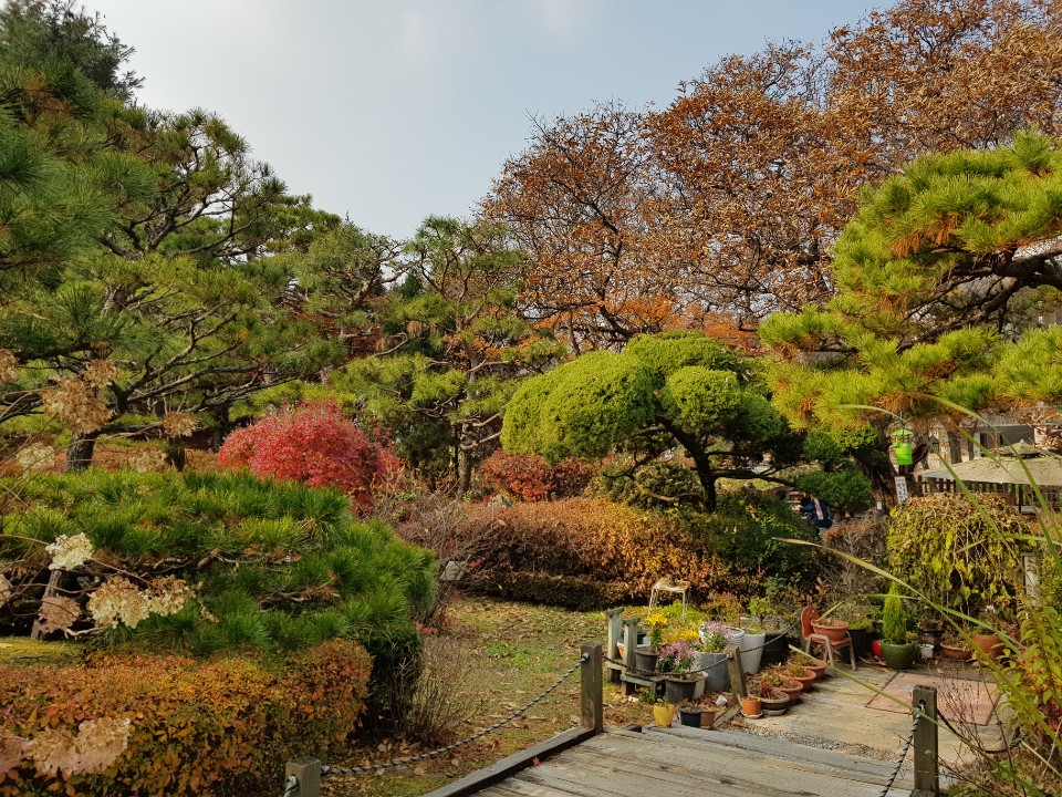 연지한정식