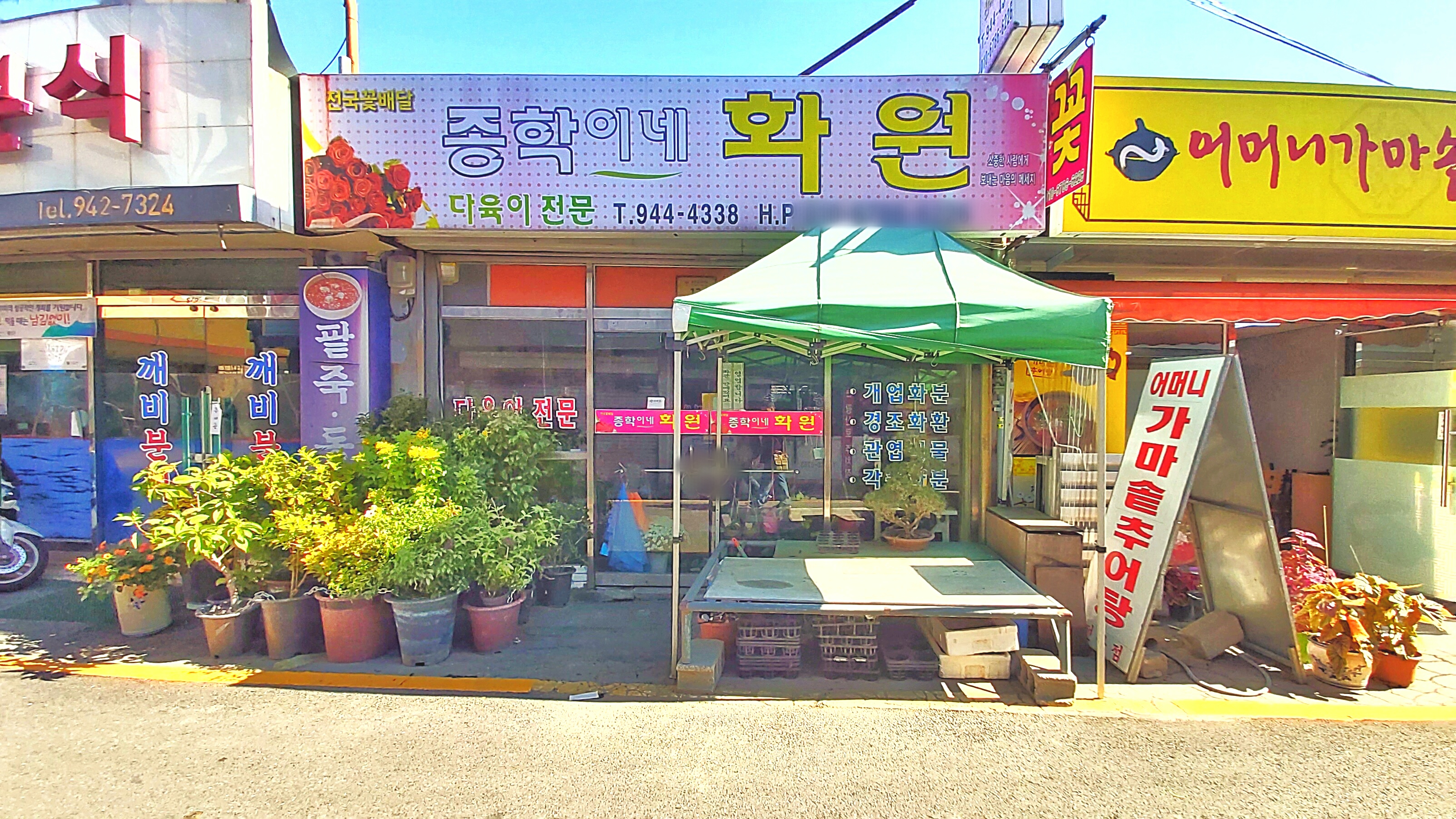 종학이네화원