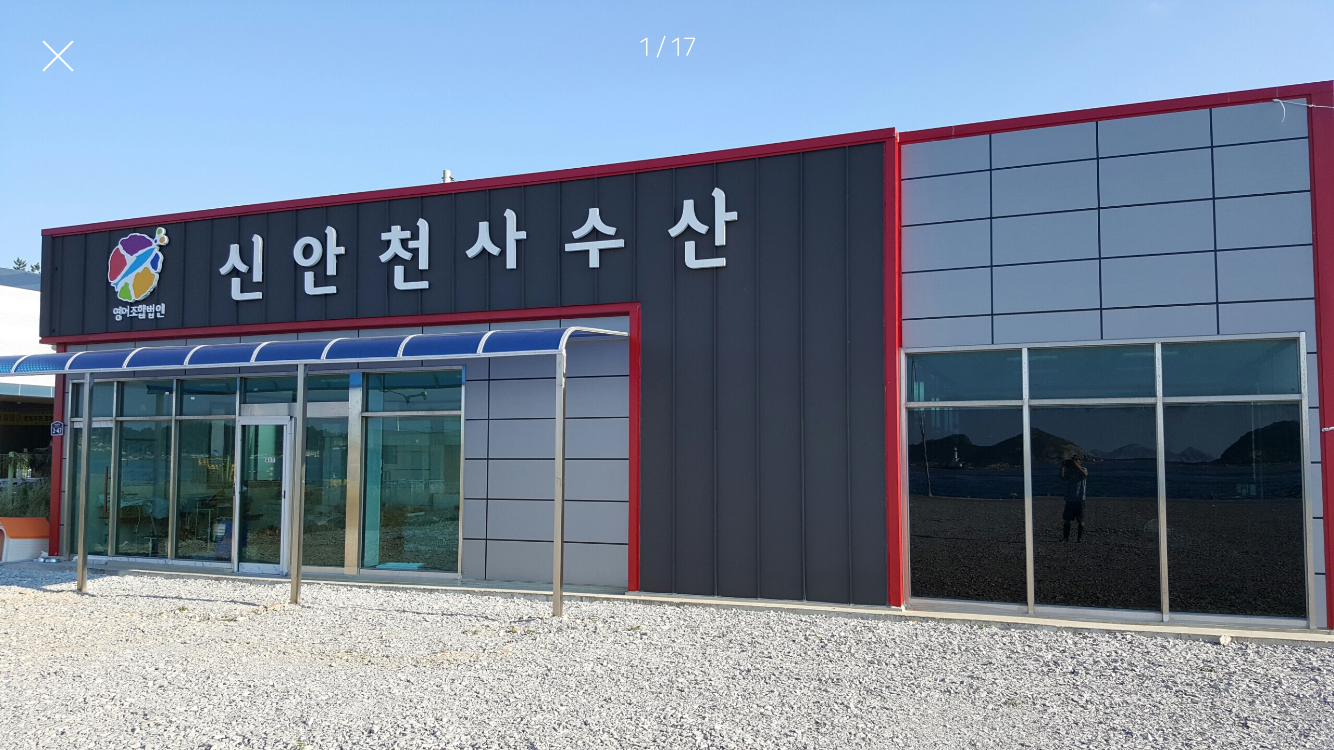 영어조합법인신안천사수산