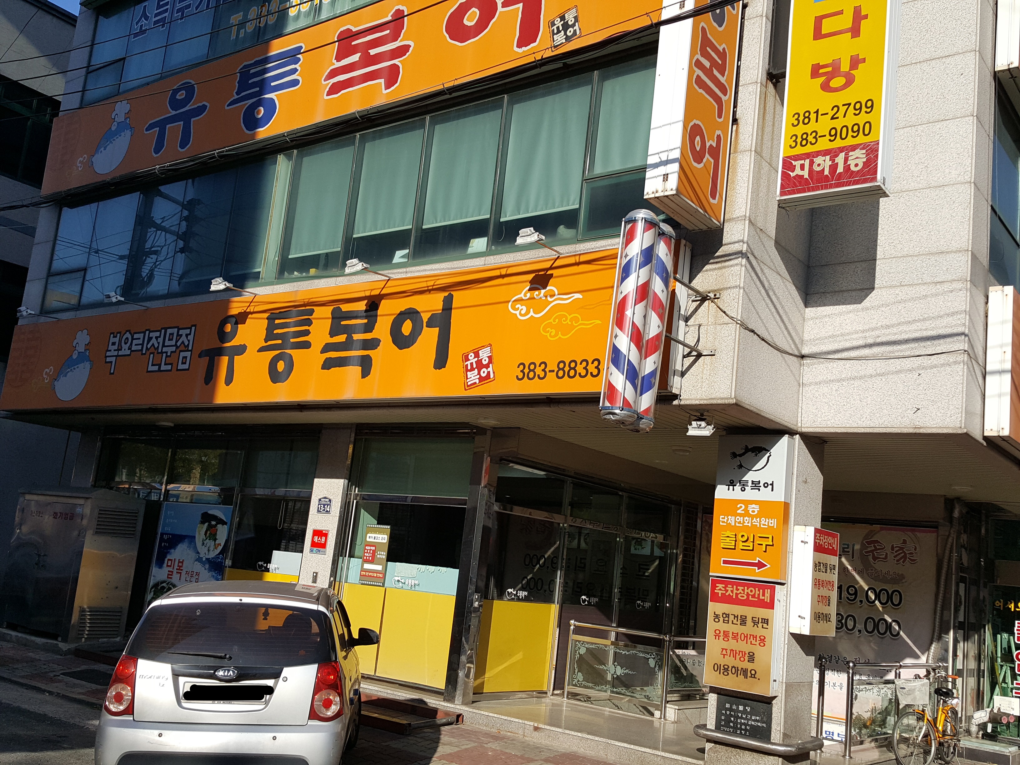 유통복어