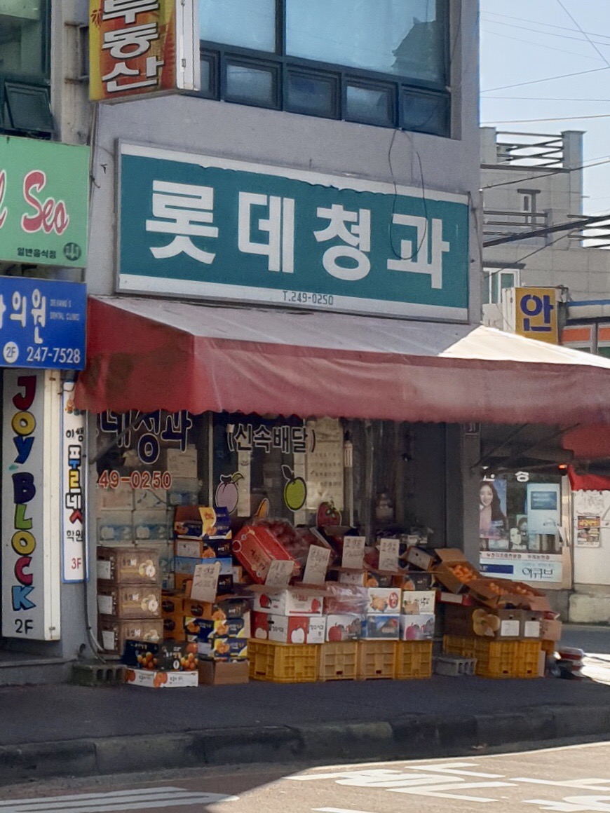 롯데청과