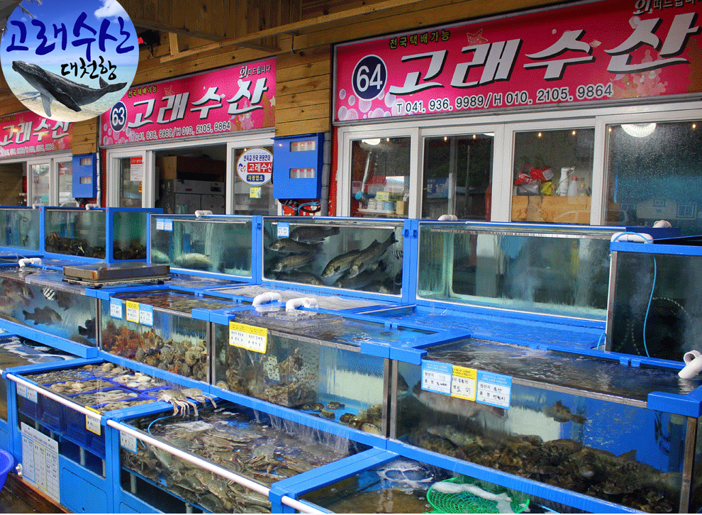 고래수산