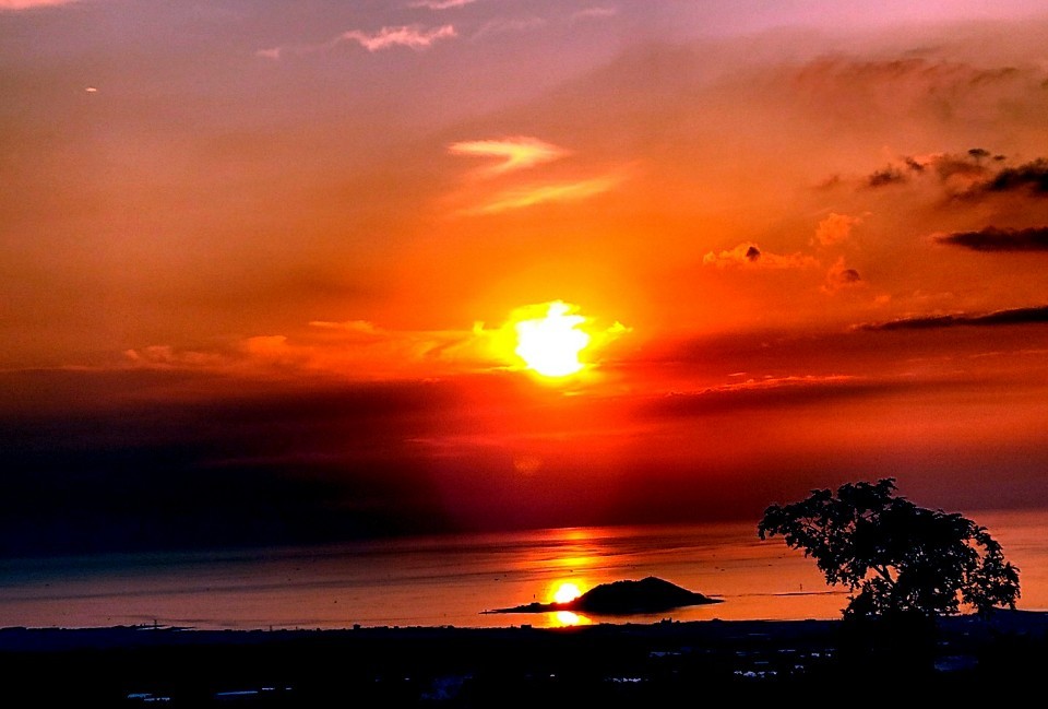 뚱딴지 애월본점 대표 이미지
