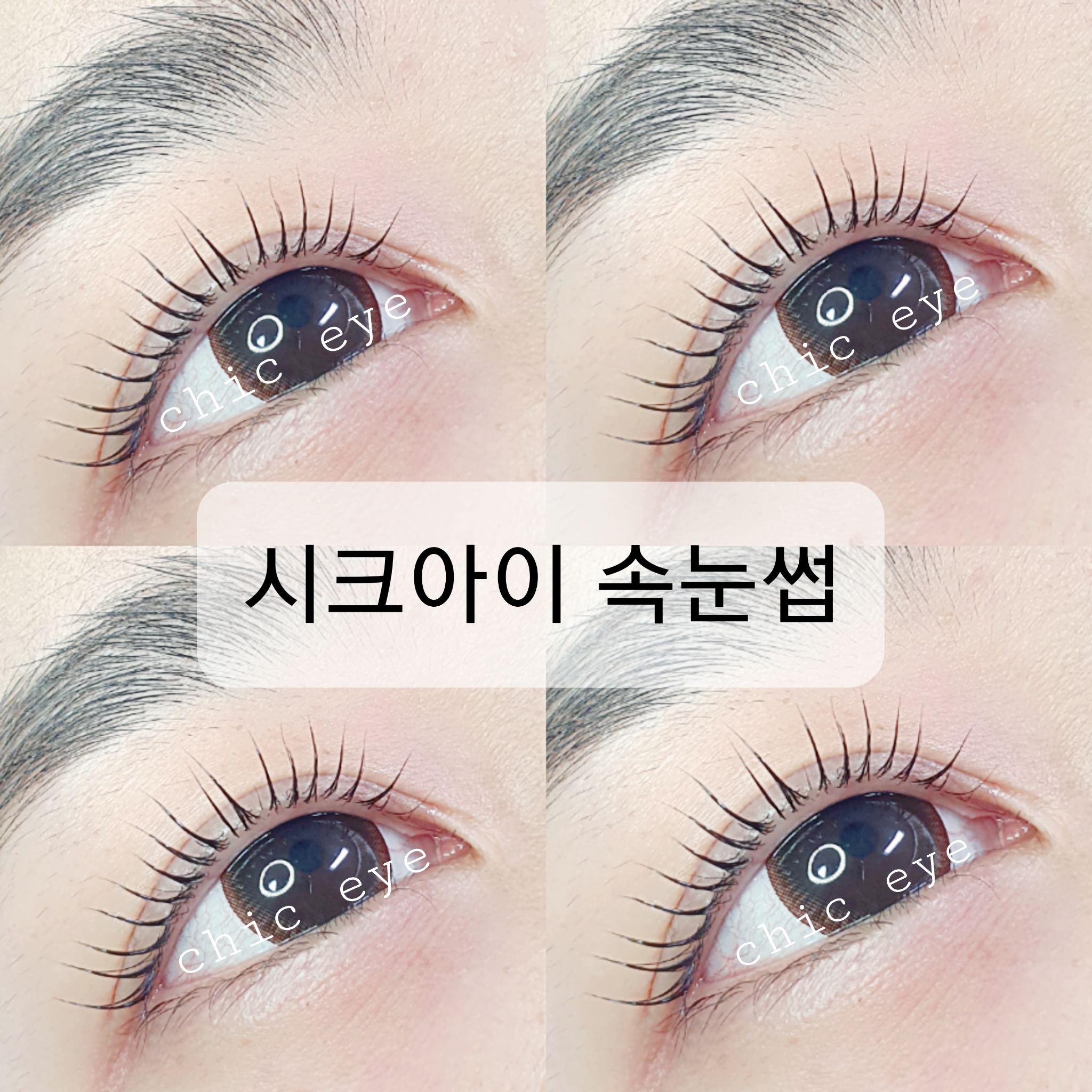 시크아이속눈썹 대표 이미지