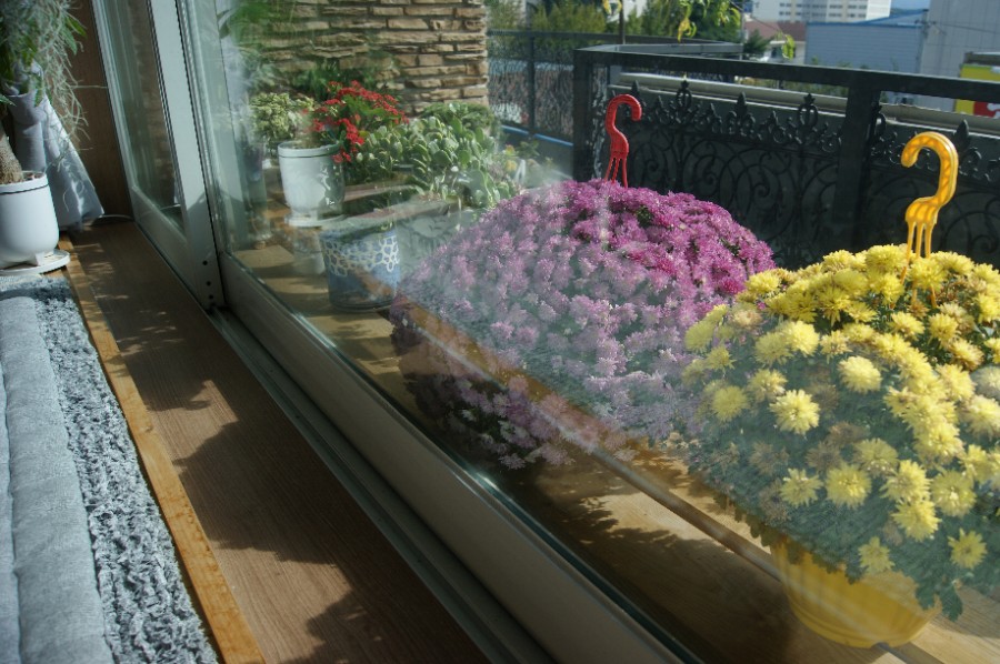 힐링센터 photo 4