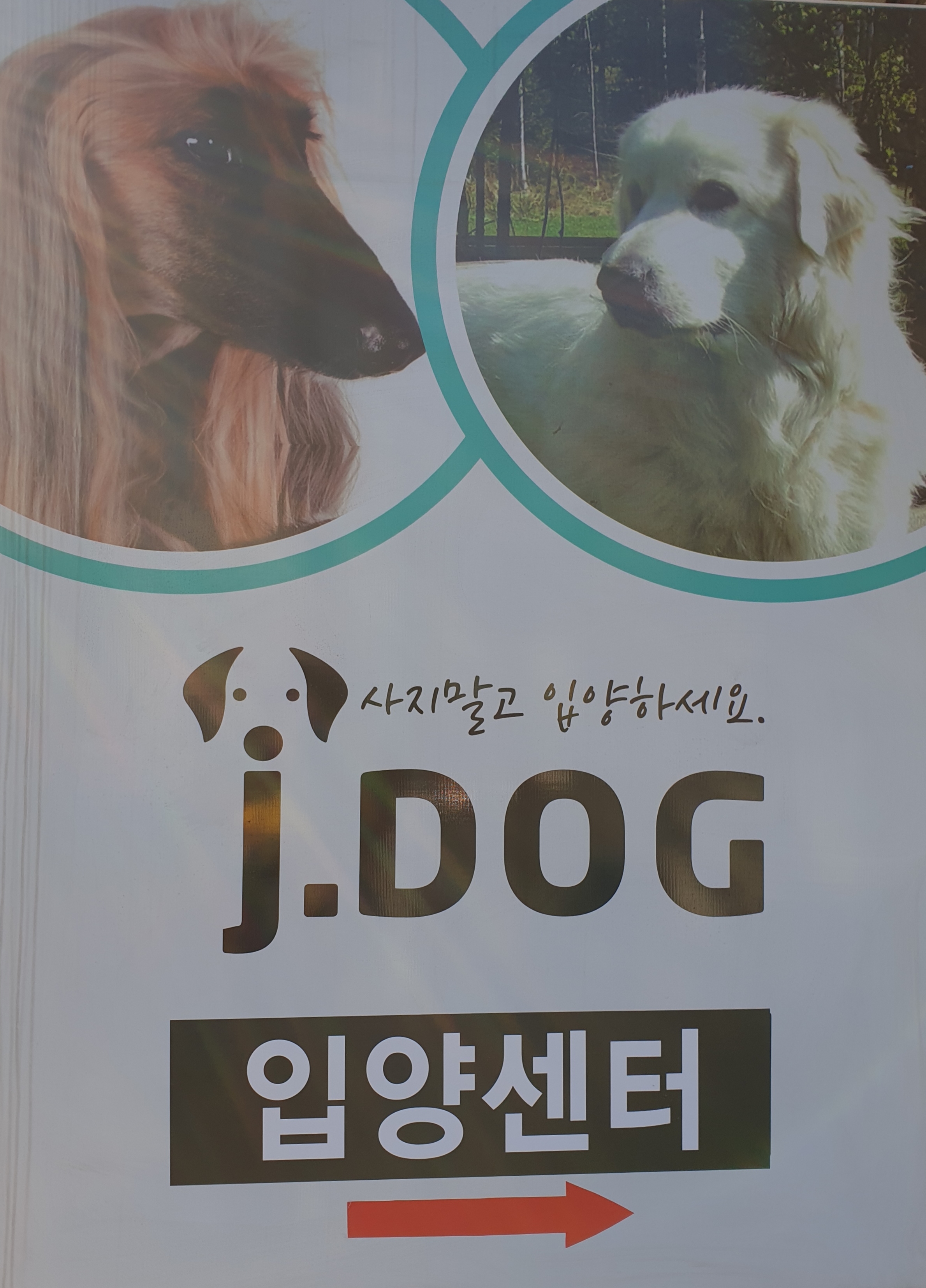 제이도그 대표 이미지