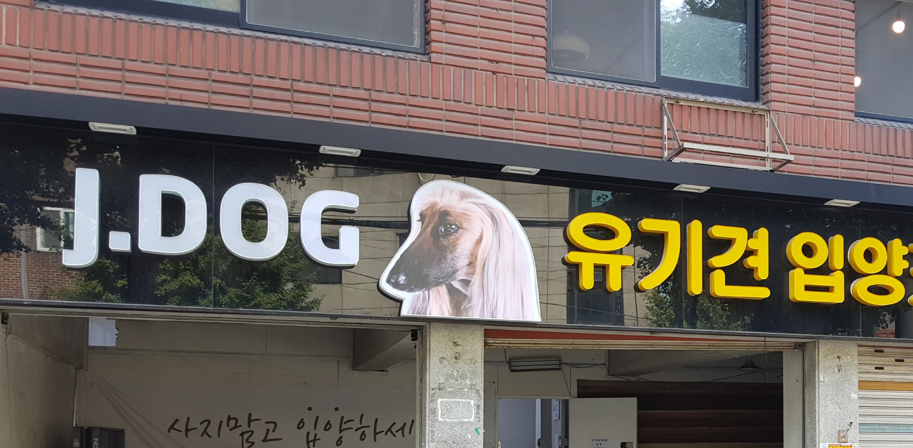 제이도그 대표 이미지