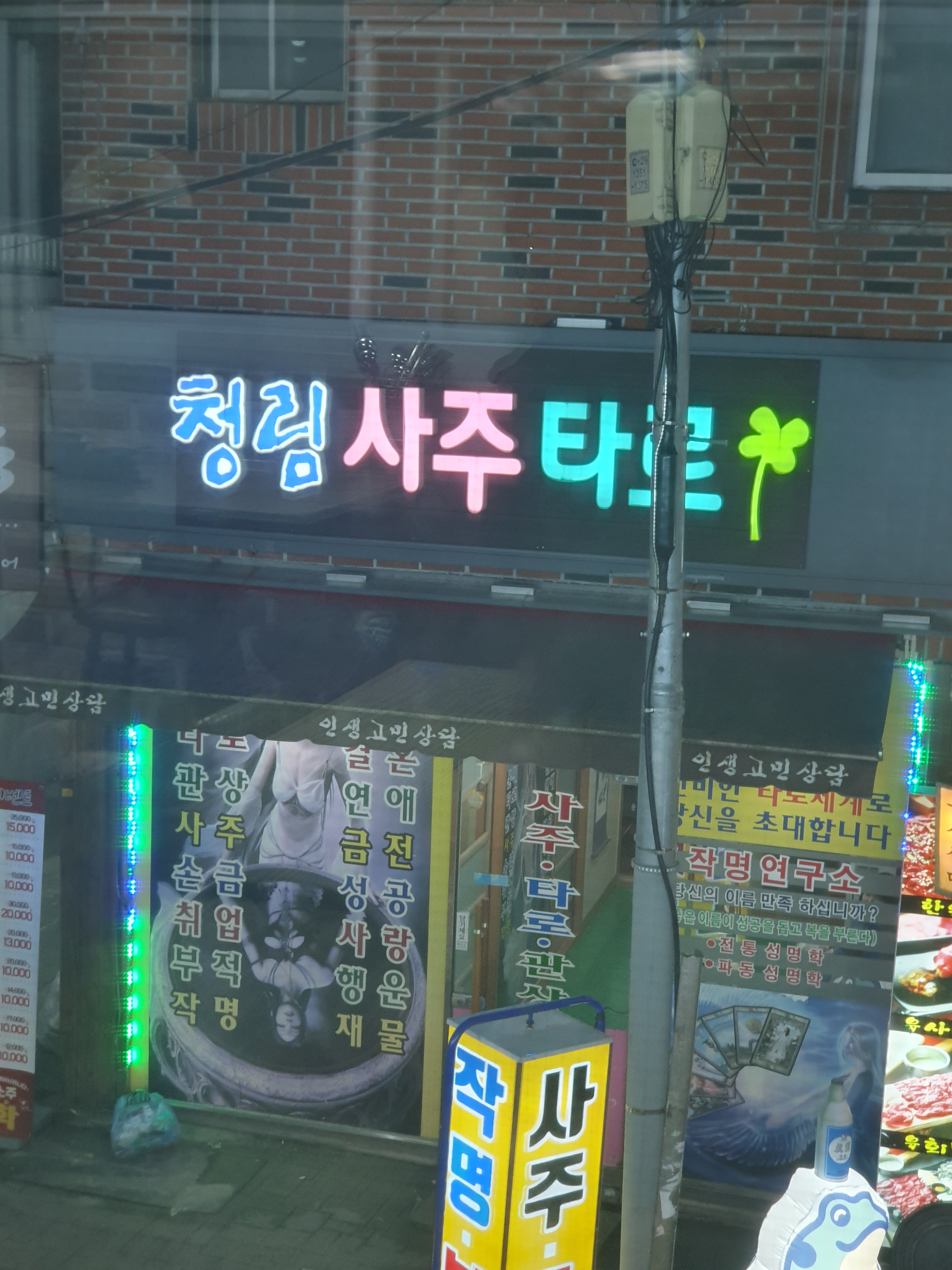 청림사주타로