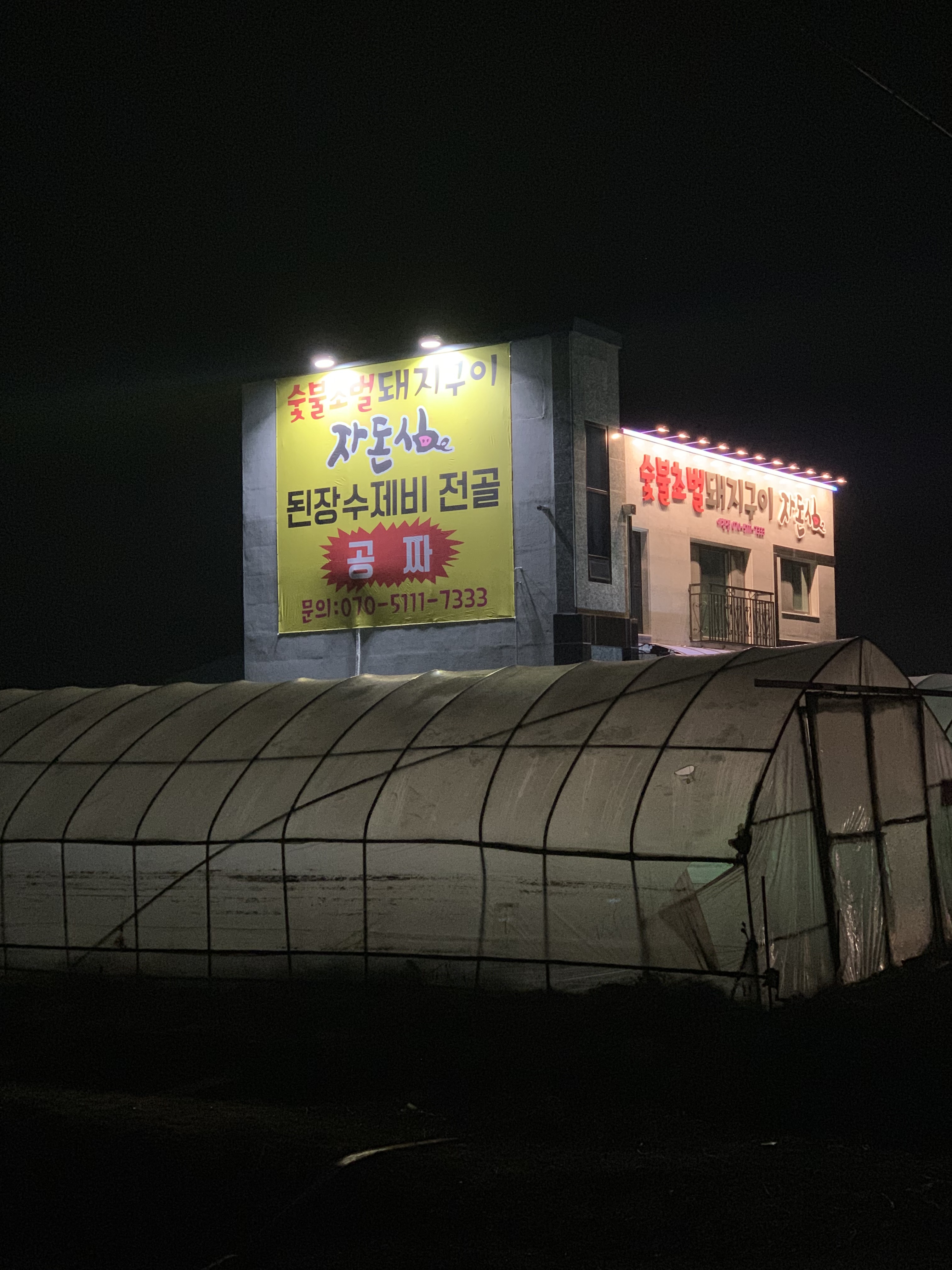 자돈심