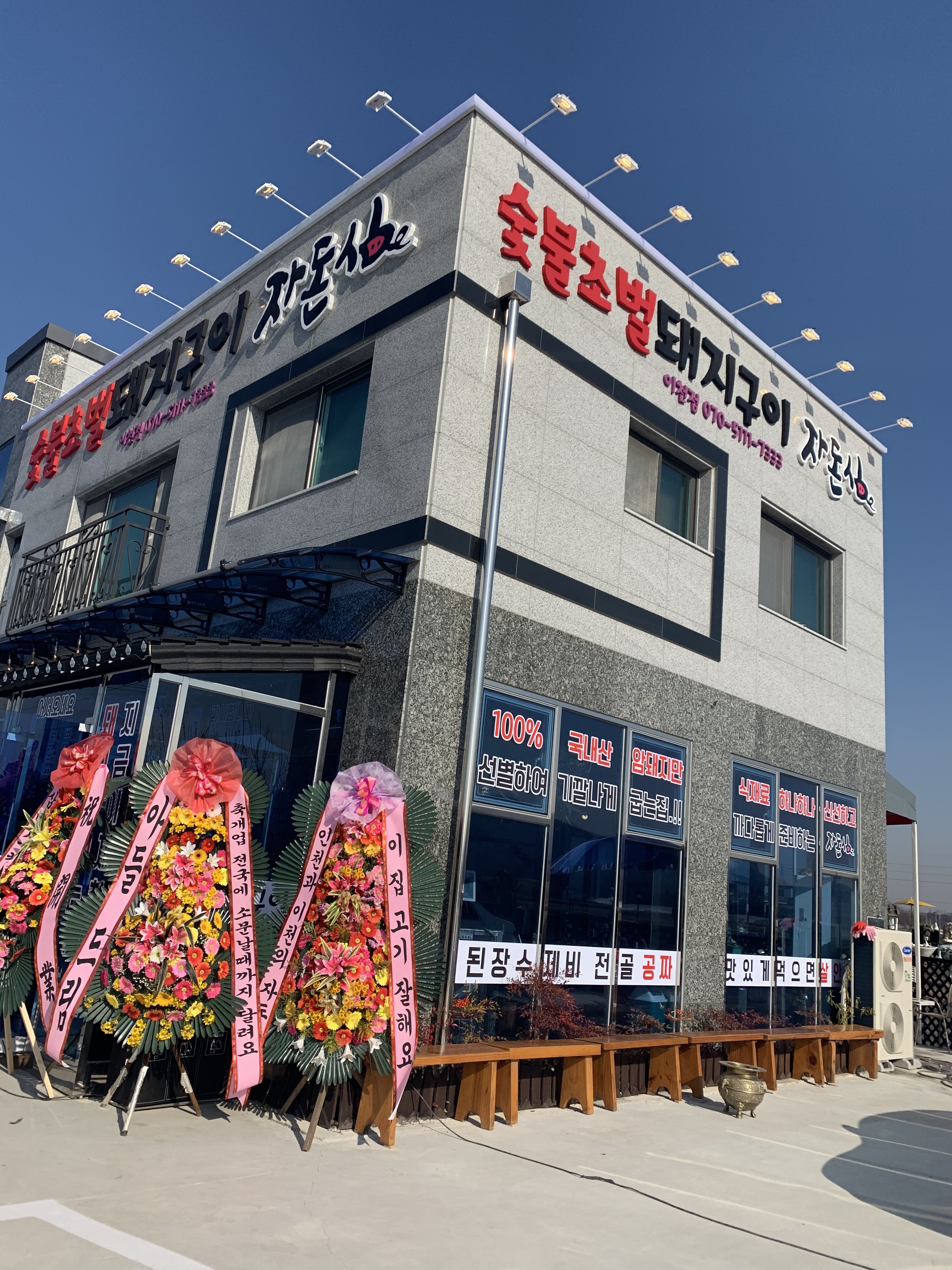 자돈심