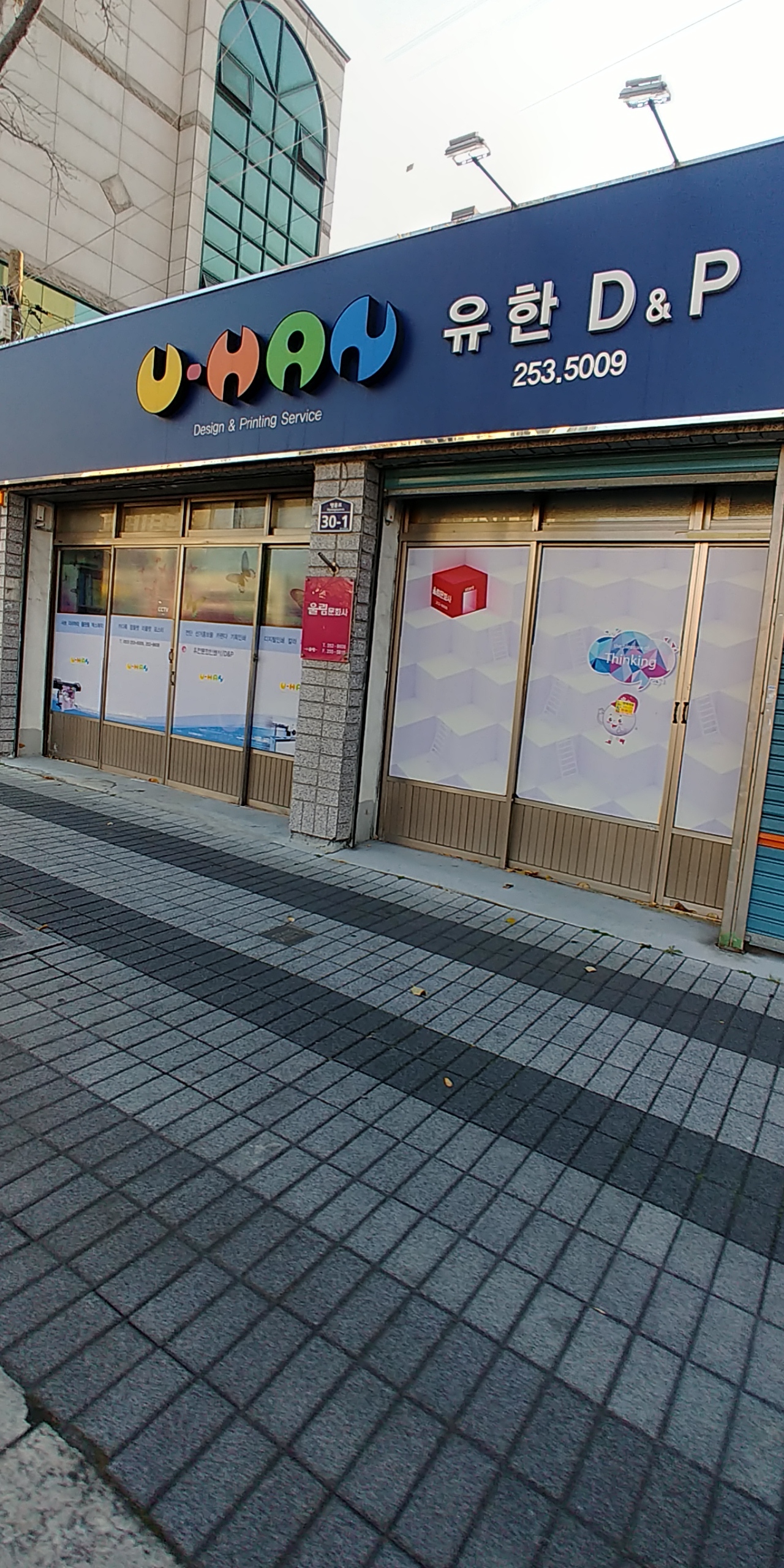 유한D&P
