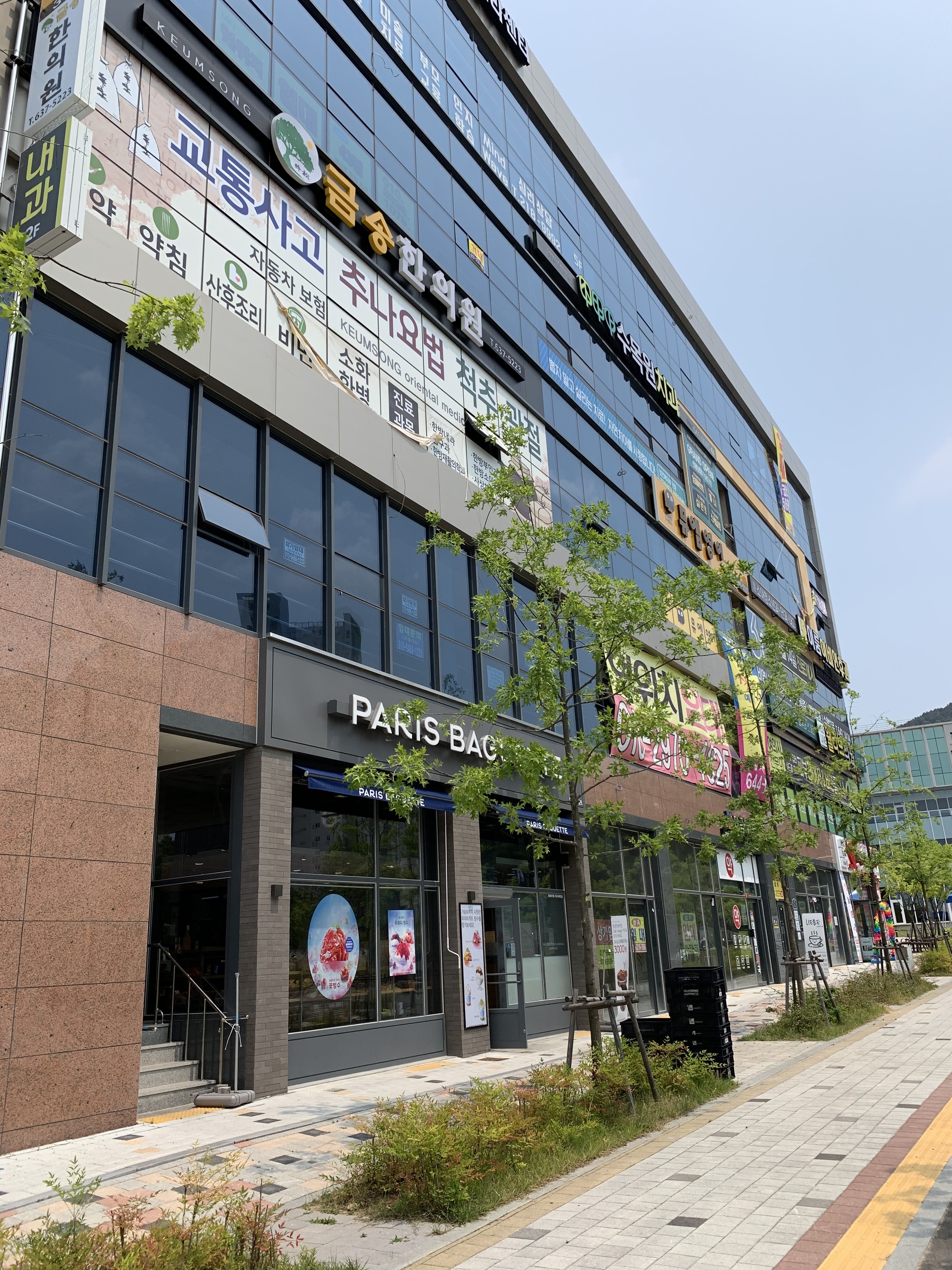 금송한의원 대구대곡