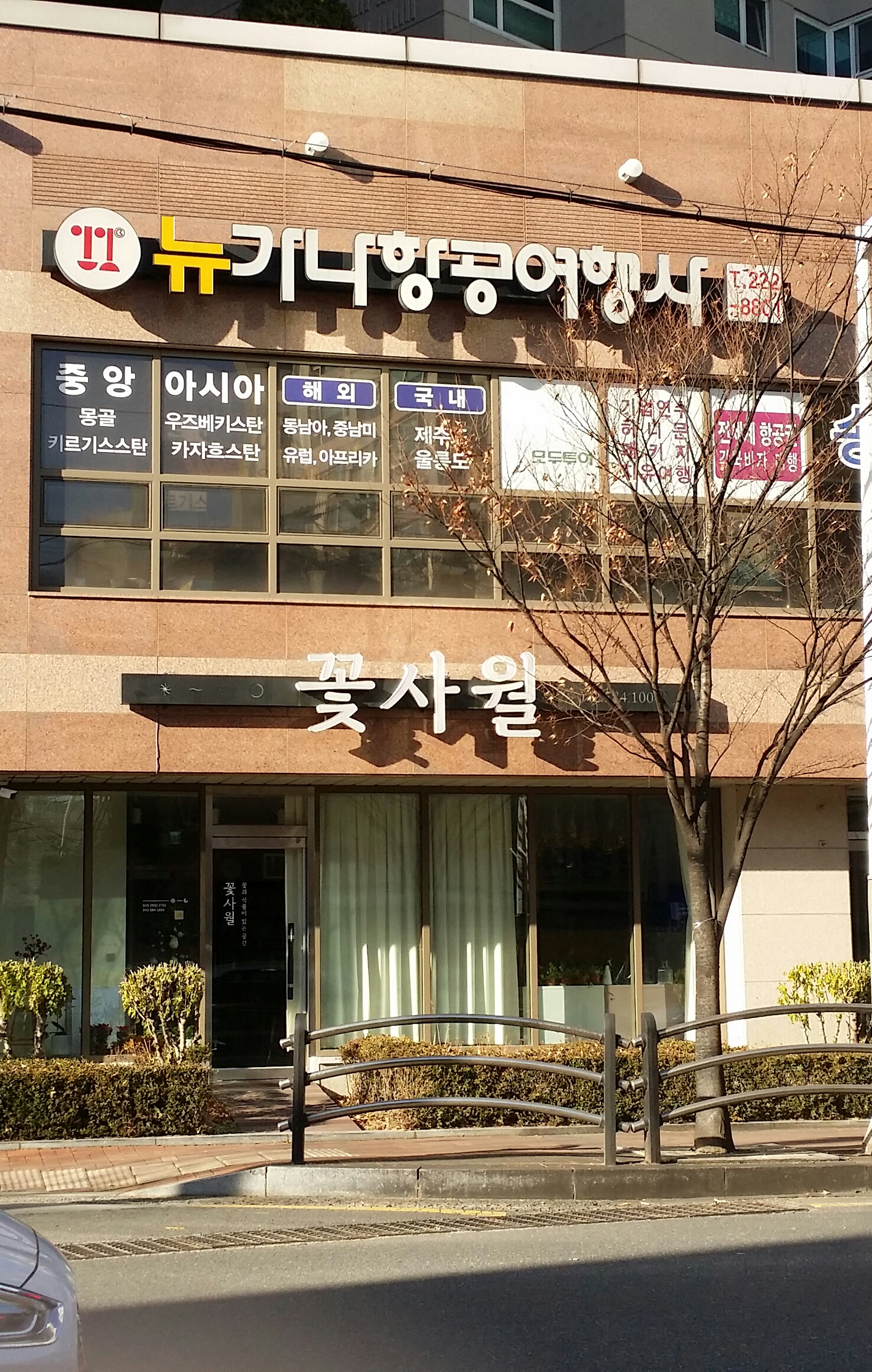 뉴가나항공여행사