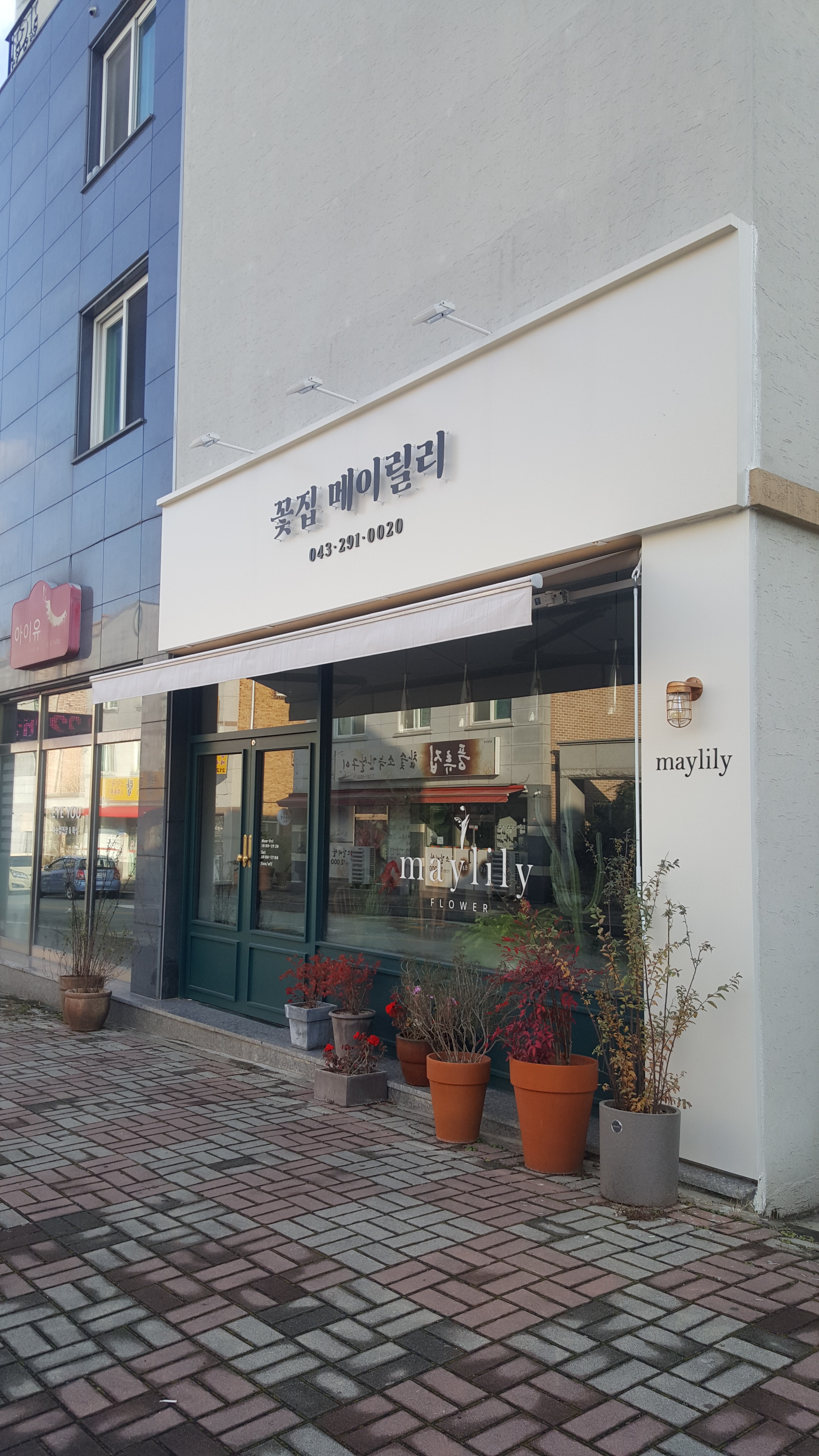 메이릴리