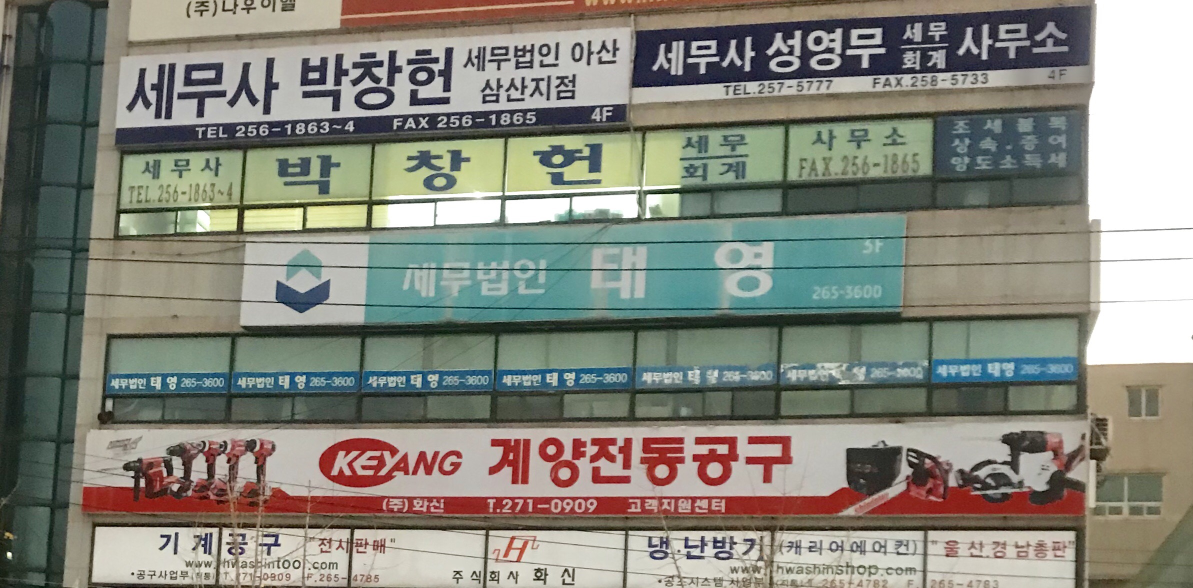세무법인태영