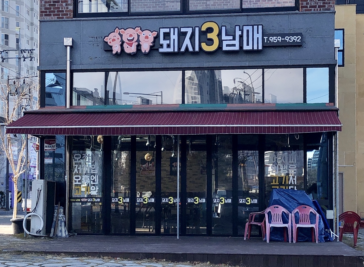 돼지3남매
