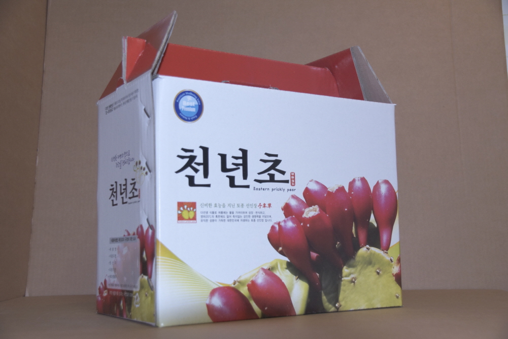햇빛건강식품천년초 건강원