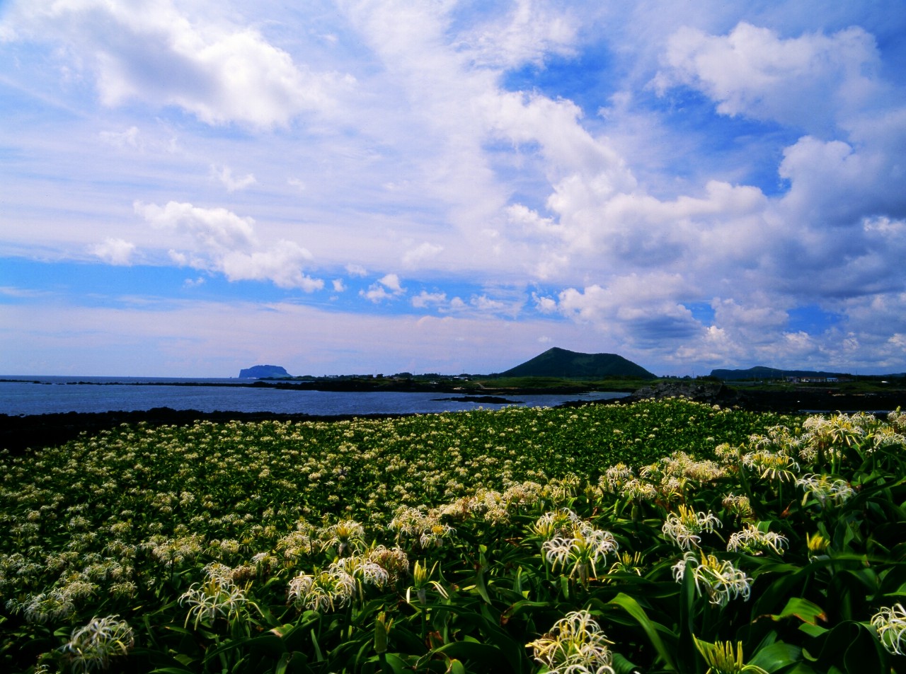 영동여행사