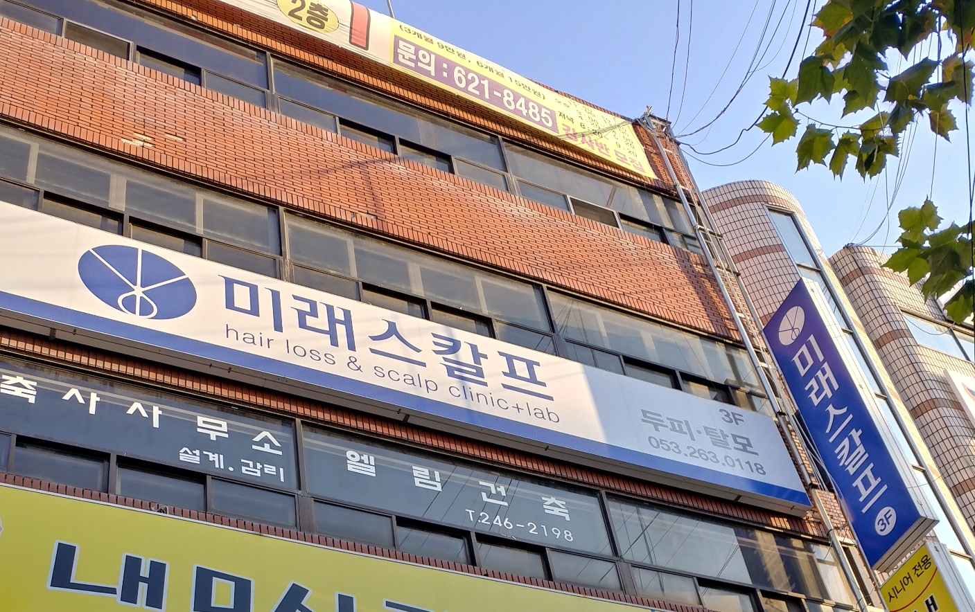 미래스칼프 대표 이미지