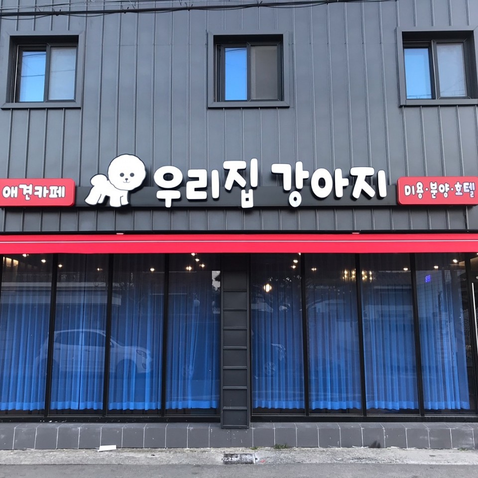 우리집강아지