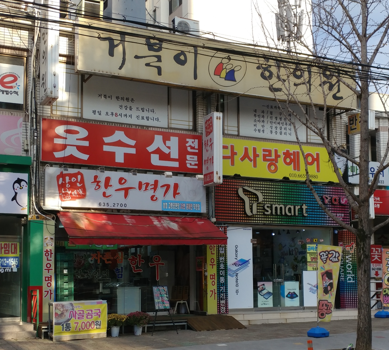 거북이한의원
