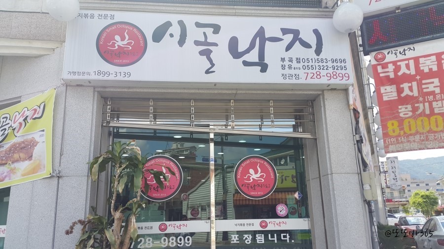 시골낙지