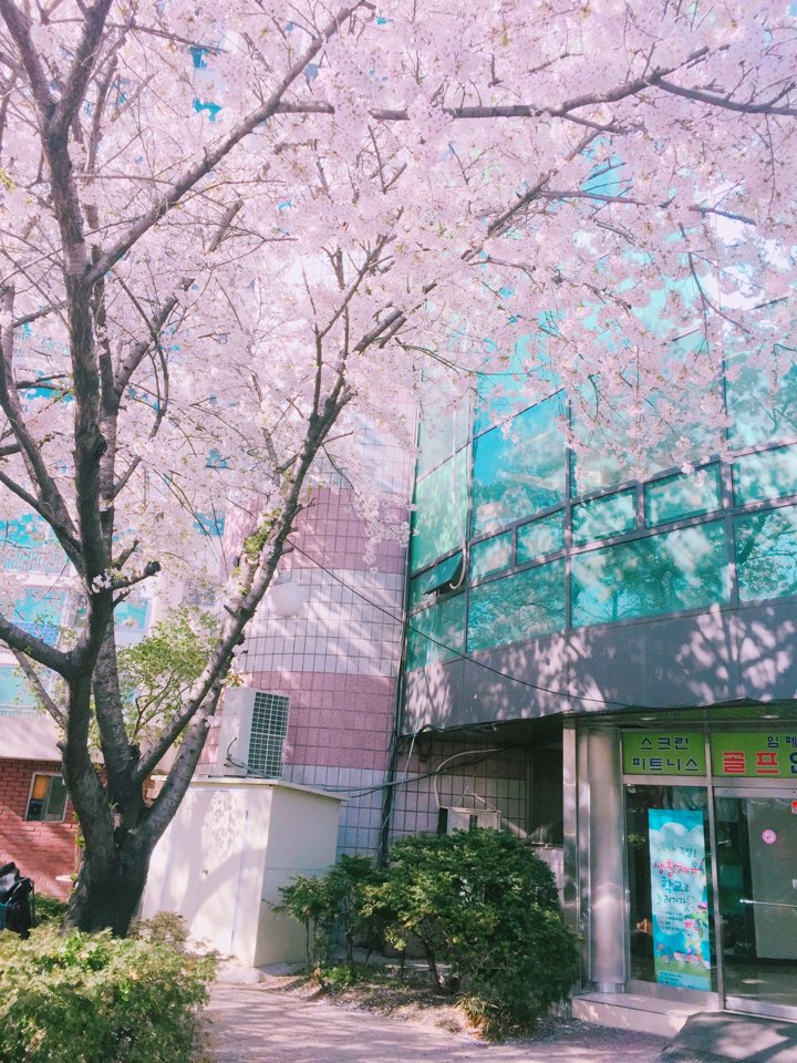 임페리얼 골프아카데미 대표 이미지