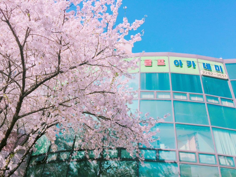 임페리얼 골프아카데미 대표 이미지