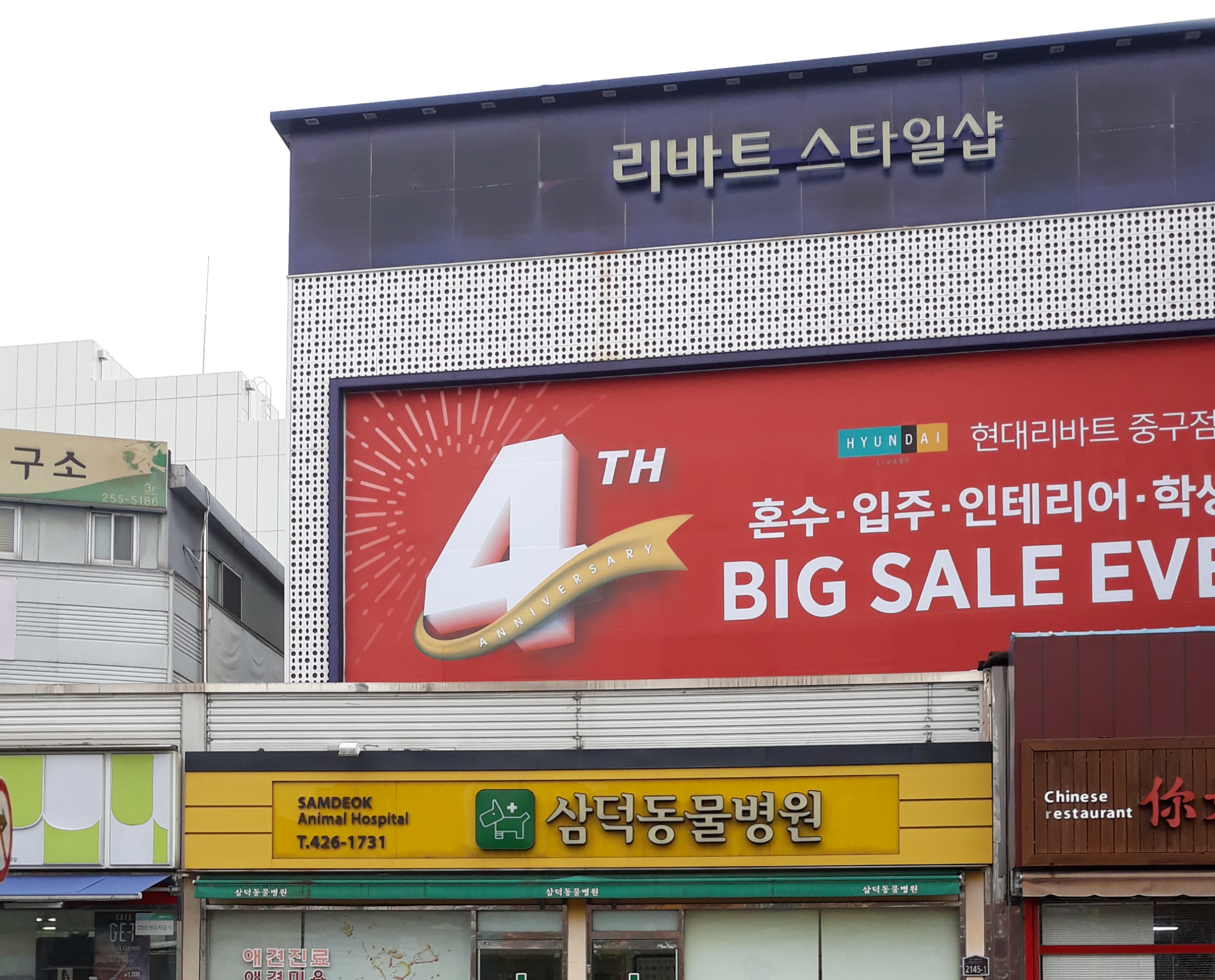 삼덕동물병원 대표 이미지