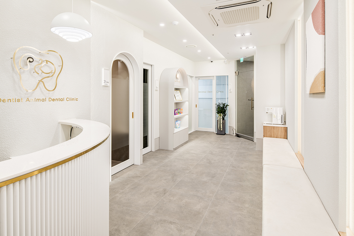 청담리덴 동물치과병원 대표 이미지